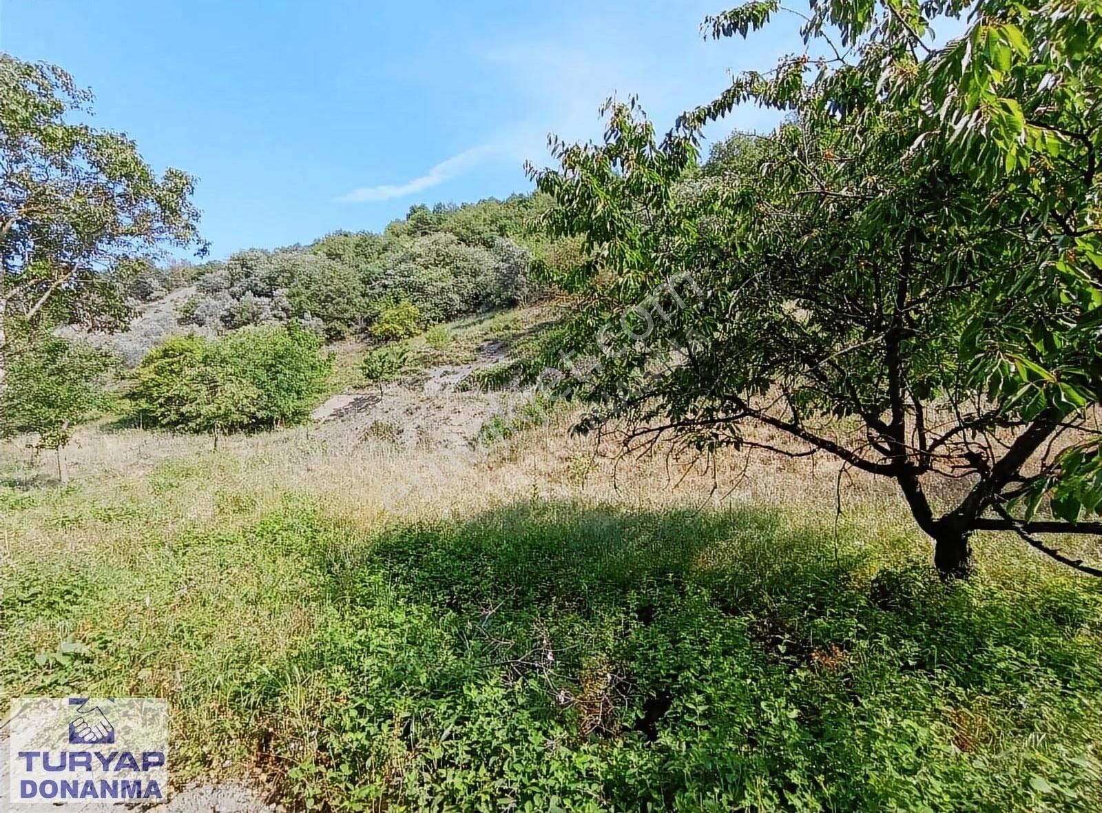 Turyap Donanma'dan K.mürsel Akçat' Ta Satılık 849 M2 Tarla - Görsel 11