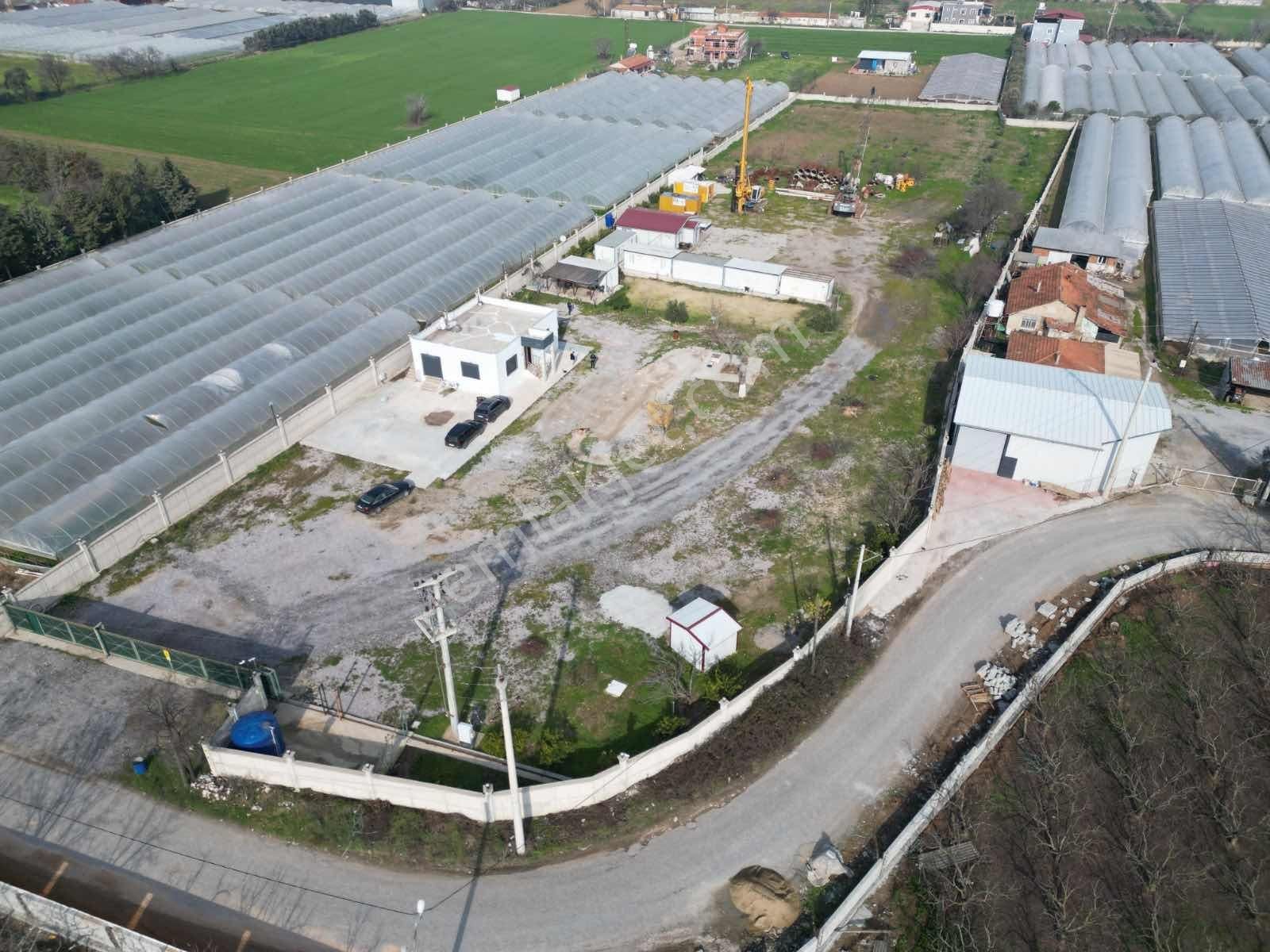 Qzen' Den Depolar Bölgesinde 80mt Asfalt Yol Cepheli Tarla - Görsel 6