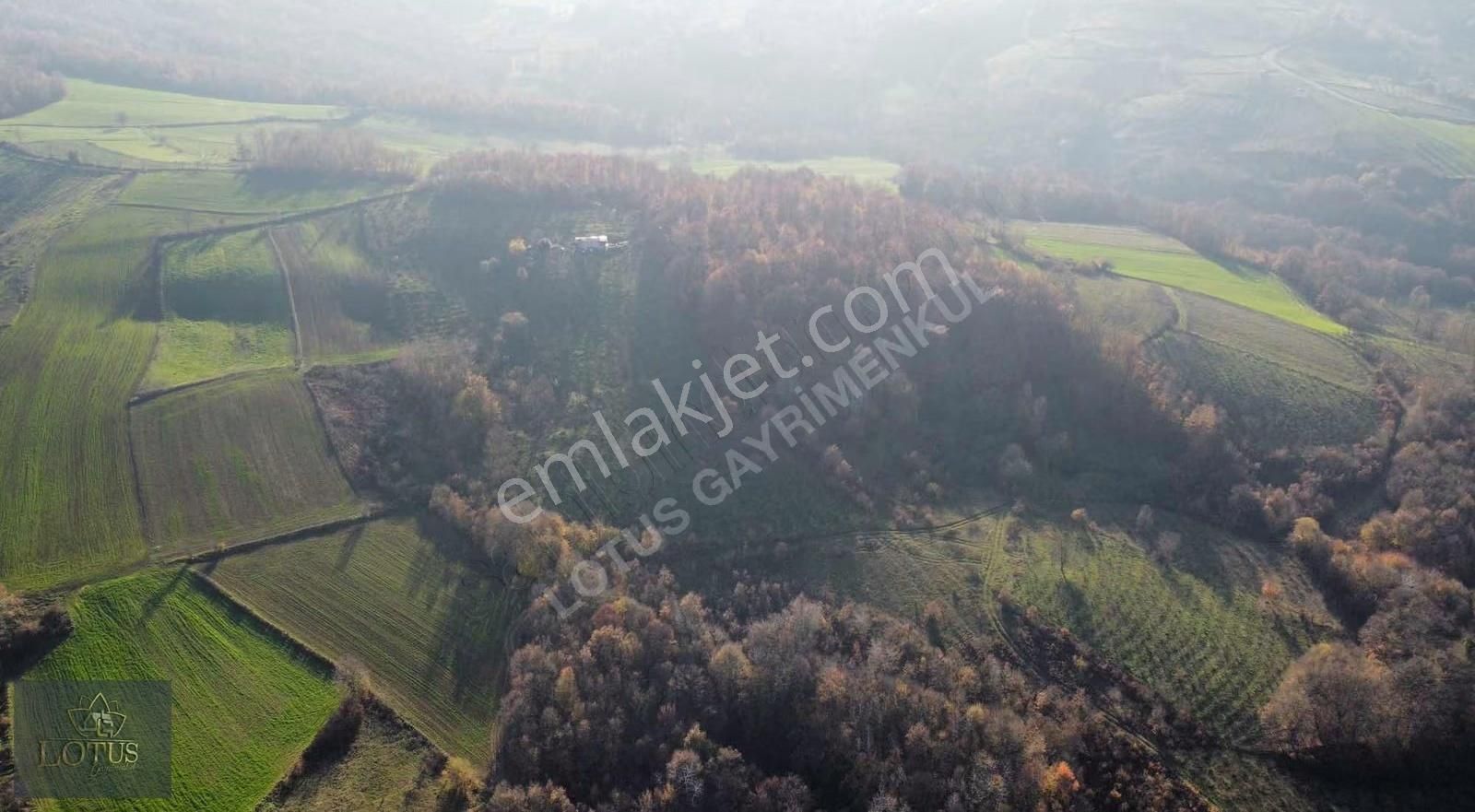İzmit Balörende 5785 M2 Satılık Fındık Bahçesi - Görsel 3