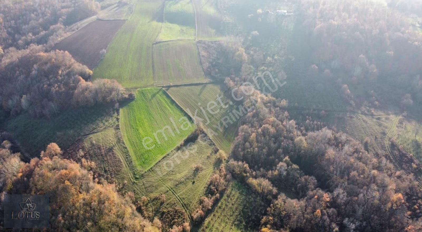 İzmit Balörende 5785 M2 Satılık Fındık Bahçesi - Görsel 2
