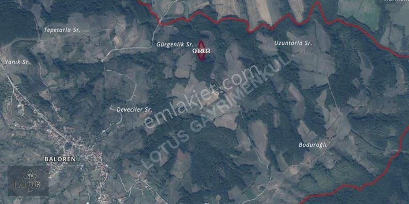 İzmit Balörende 5785 M2 Satılık Fındık Bahçesi