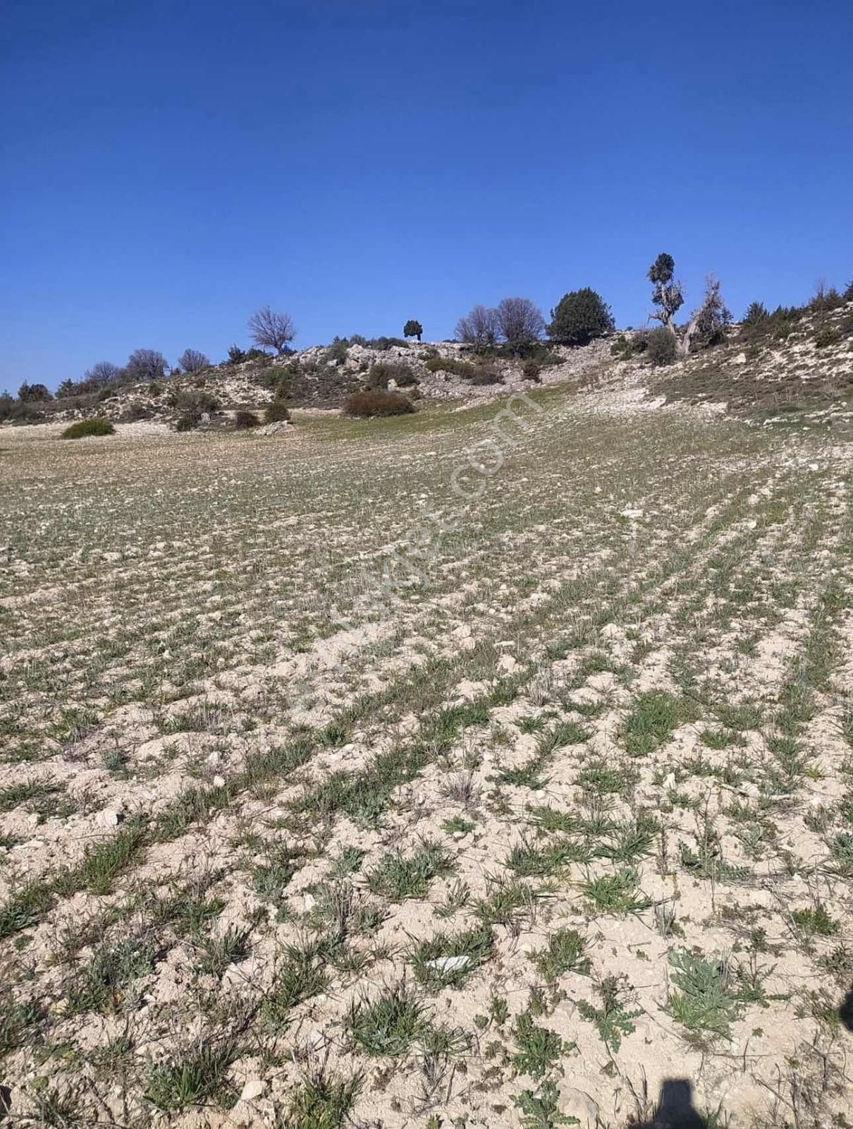 Silifkede Geleceğe Yatırımlık Tarla