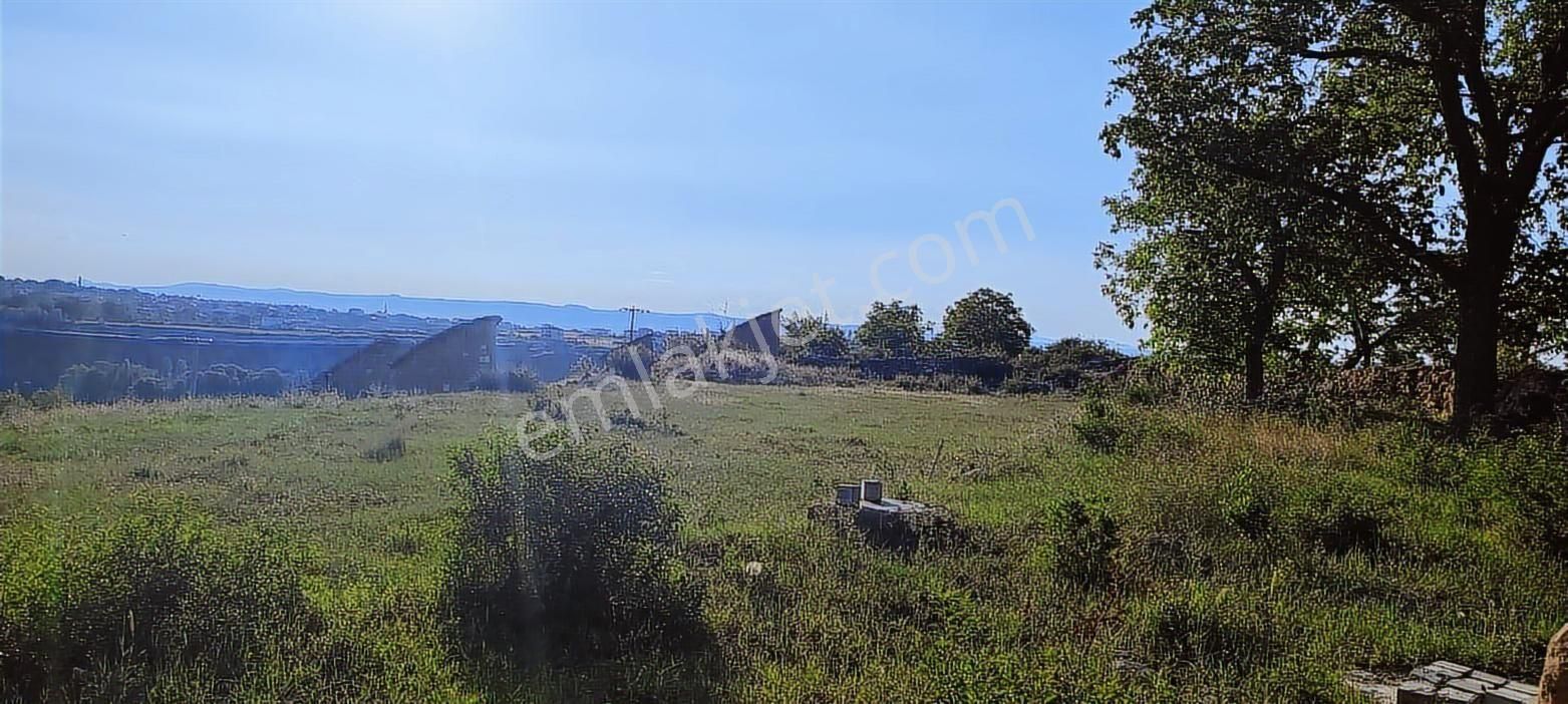 Gesi Güzelköy'de Satılık Manzaralı İmara Girmiş Satılık Bahçe - Görsel 9