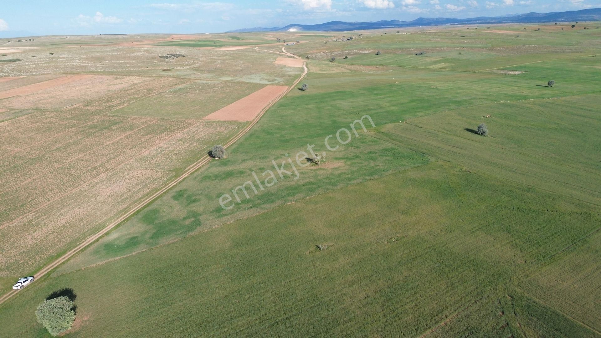 Konya / Akören / Hacılar Mahallesinde 8.892 M² Müstakil Tapulu Tarla - Görsel 5