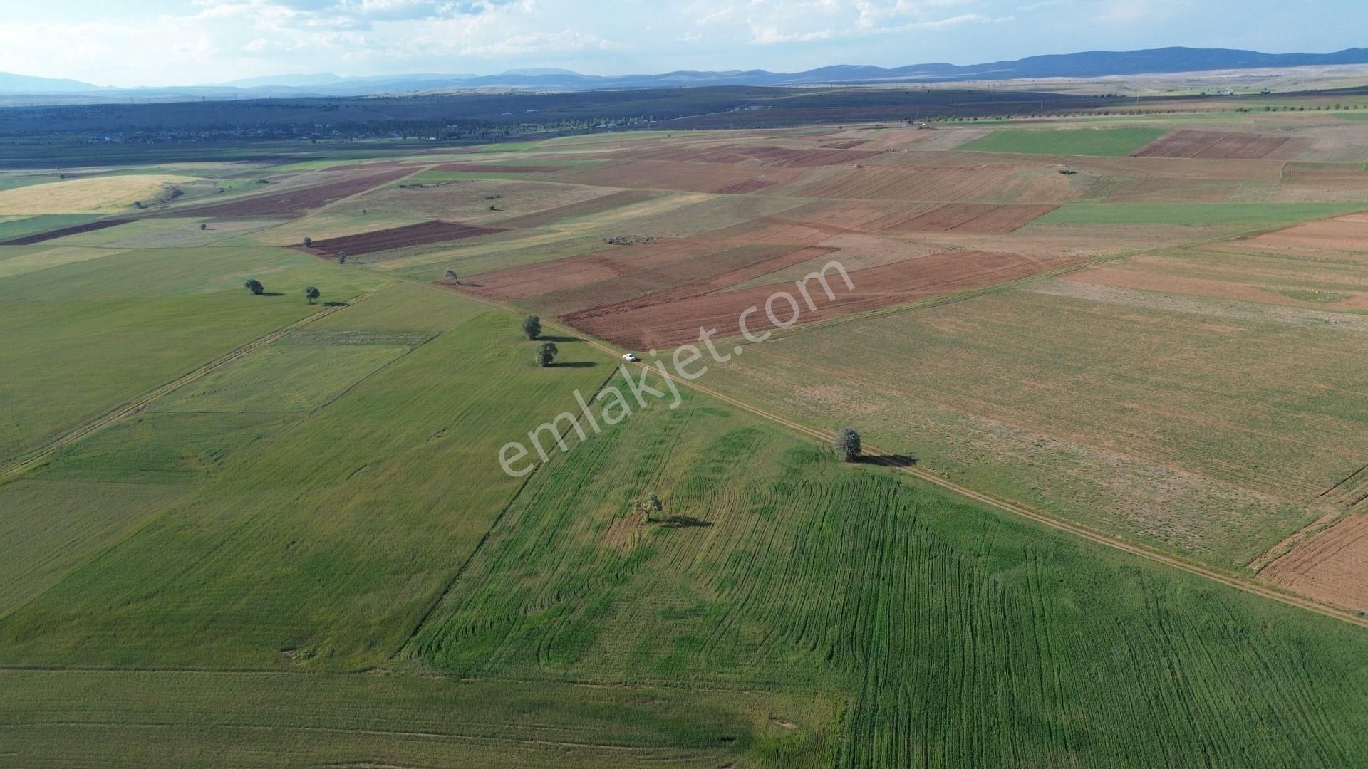 Konya / Akören / Hacılar Mahallesinde 8.892 M² Müstakil Tapulu Tarla - Görsel 3