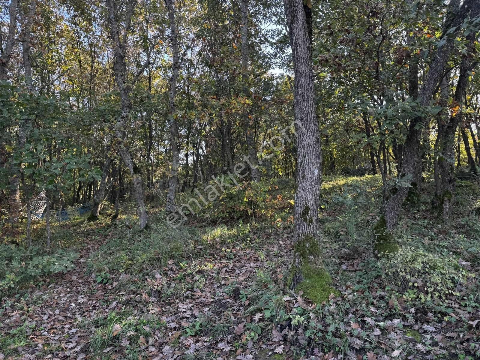 Vefa Gayrimenkulden Kurnaköyde Satılık Arsa - Görsel 12