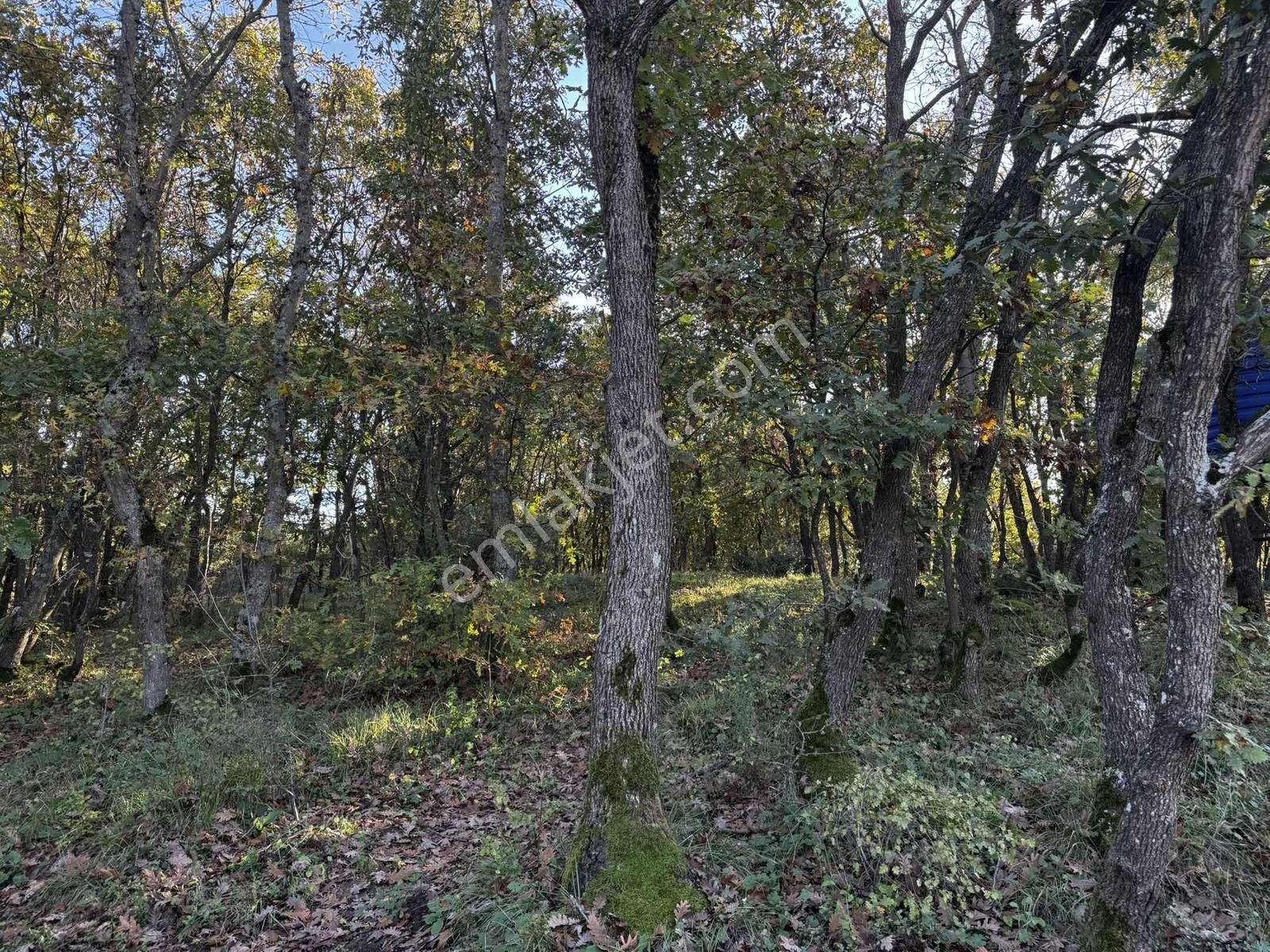 Vefa Gayrimenkulden Kurnaköyde Satılık Arsa - Görsel 4