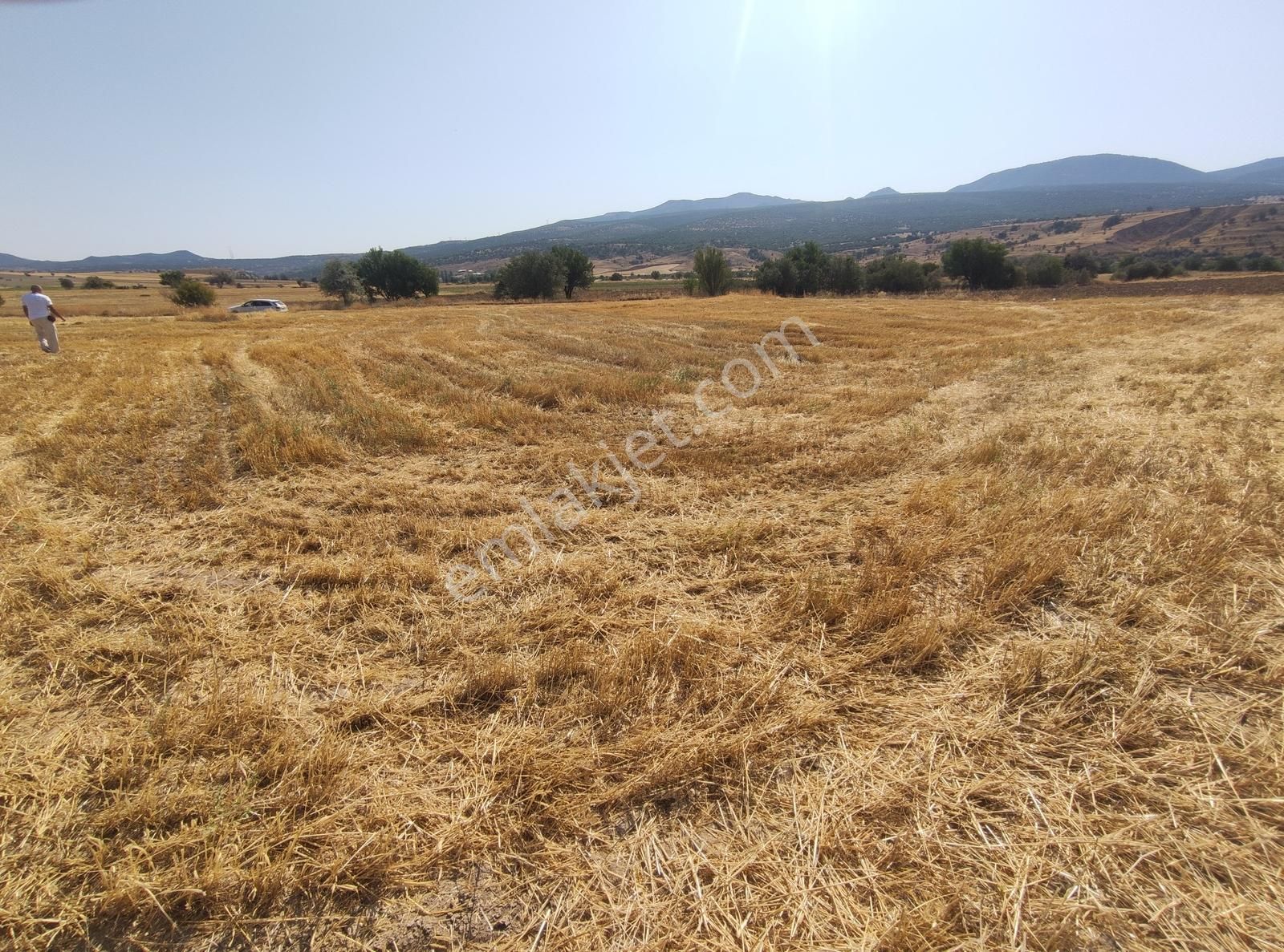 Özpınar ,dan Çavuş Köyü Satılık Tarla 4100 M2. Yolu Var - Görsel 4
