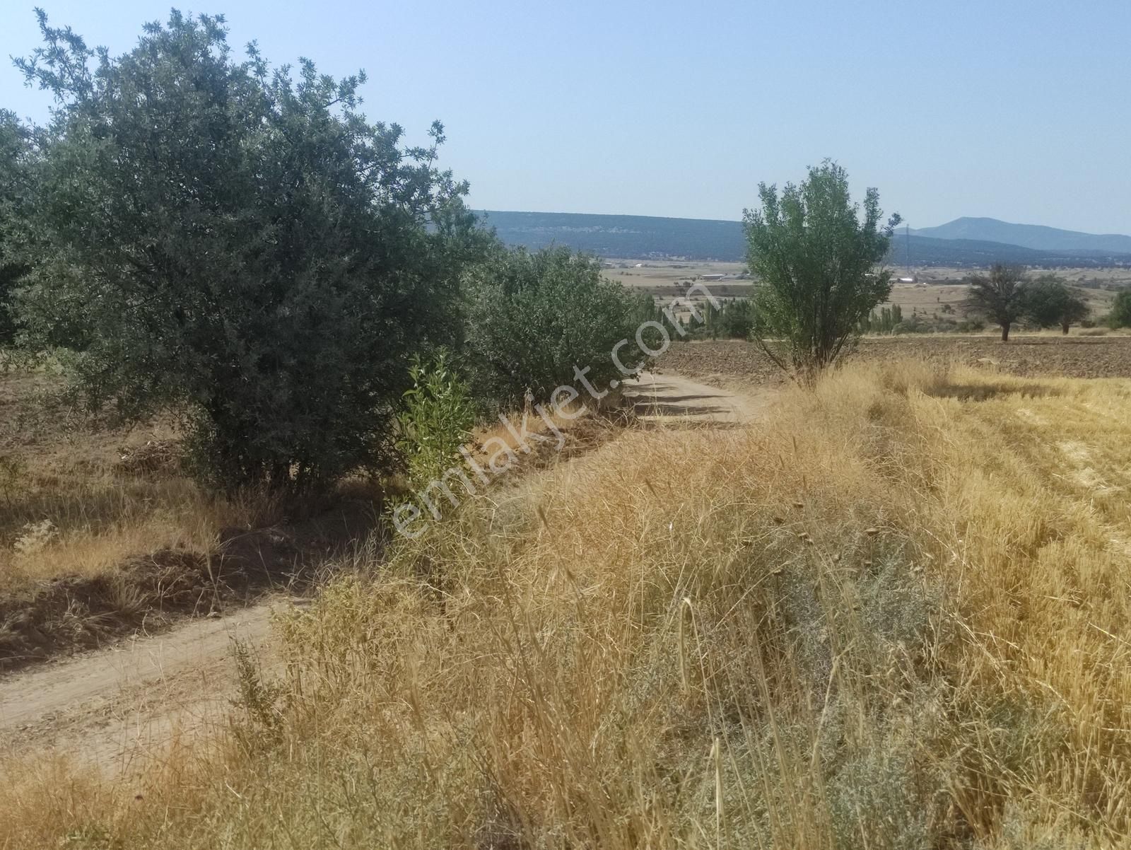 Özpınar ,dan Çavuş Köyü Satılık Tarla 4100 M2. Yolu Var - Görsel 14