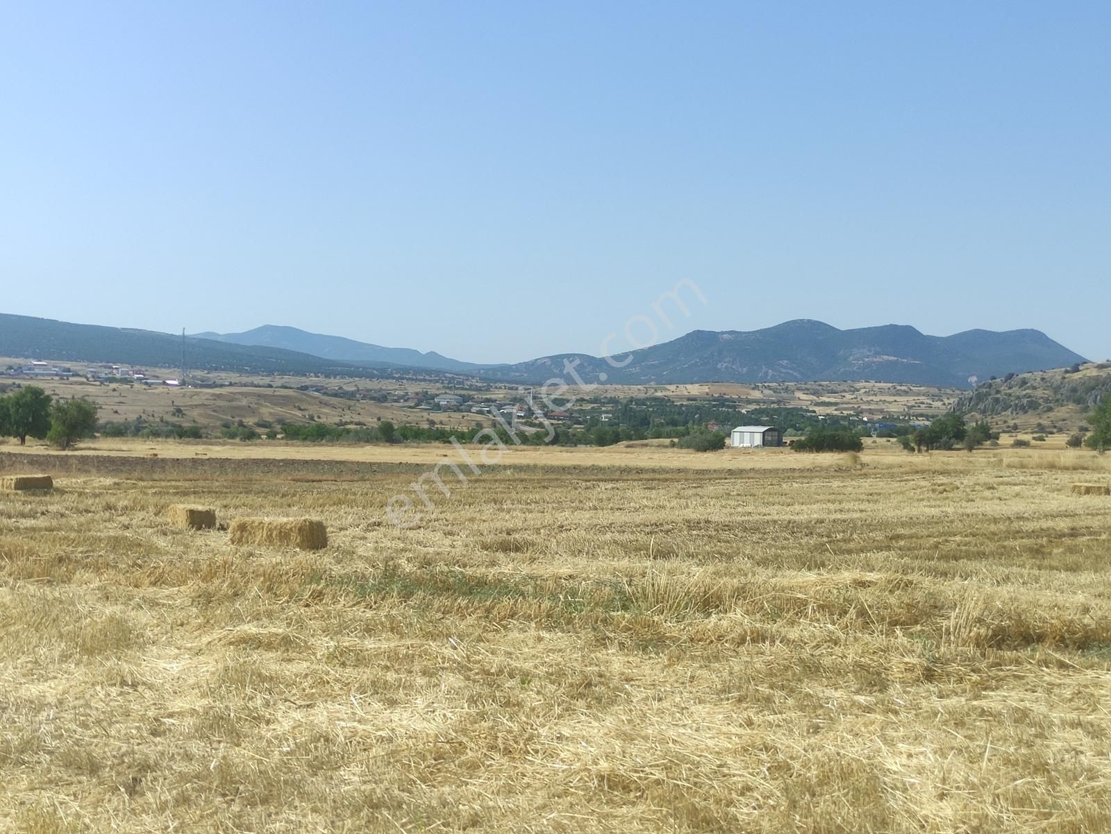 Özpınar ,dan Çavuş Köyü Satılık Tarla 4100 M2. Yolu Var - Görsel 12