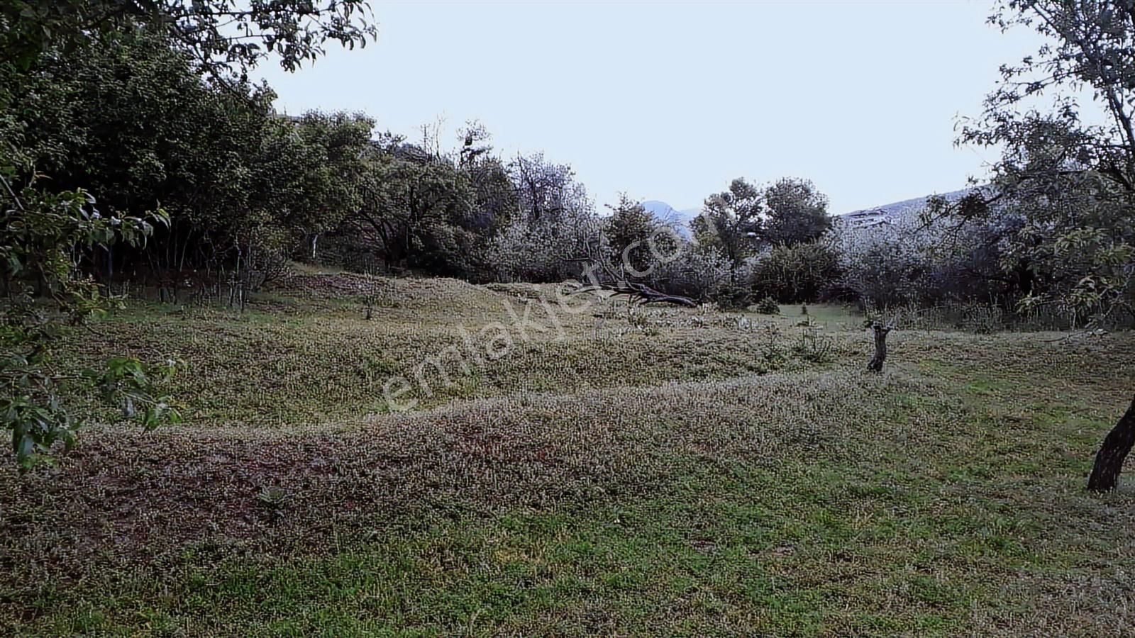 Tat Köyde Kendine Ait 427 M² Tek Tapu Elektrik Su Alınabilir - Görsel 15