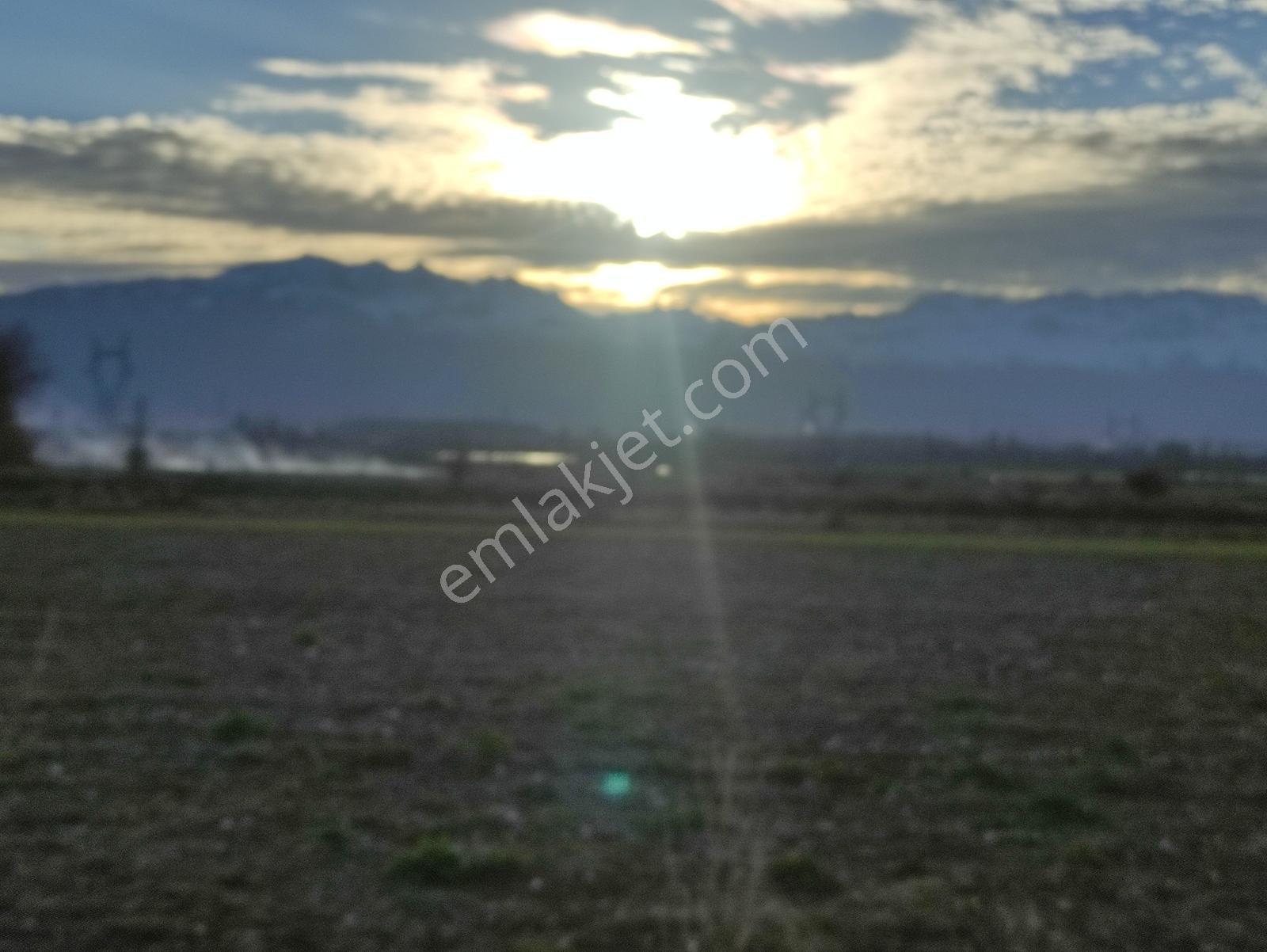 Özpınar,dan Bağarası Yolu, Kuyusu,bahçe Evi Var 810 M2 Arsa - Görsel 15