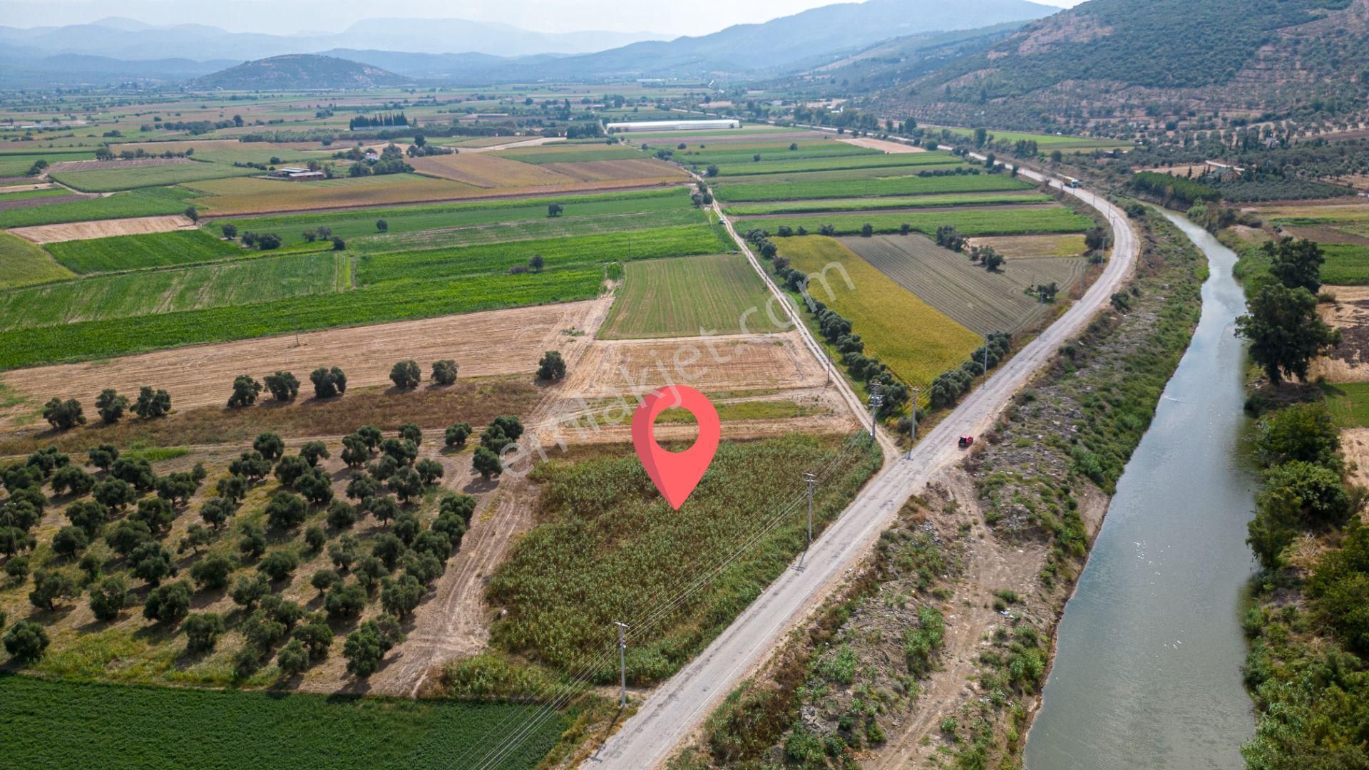 Milas Yaka Köyü Yola Sıfır Satılık Tarla - Görsel 3