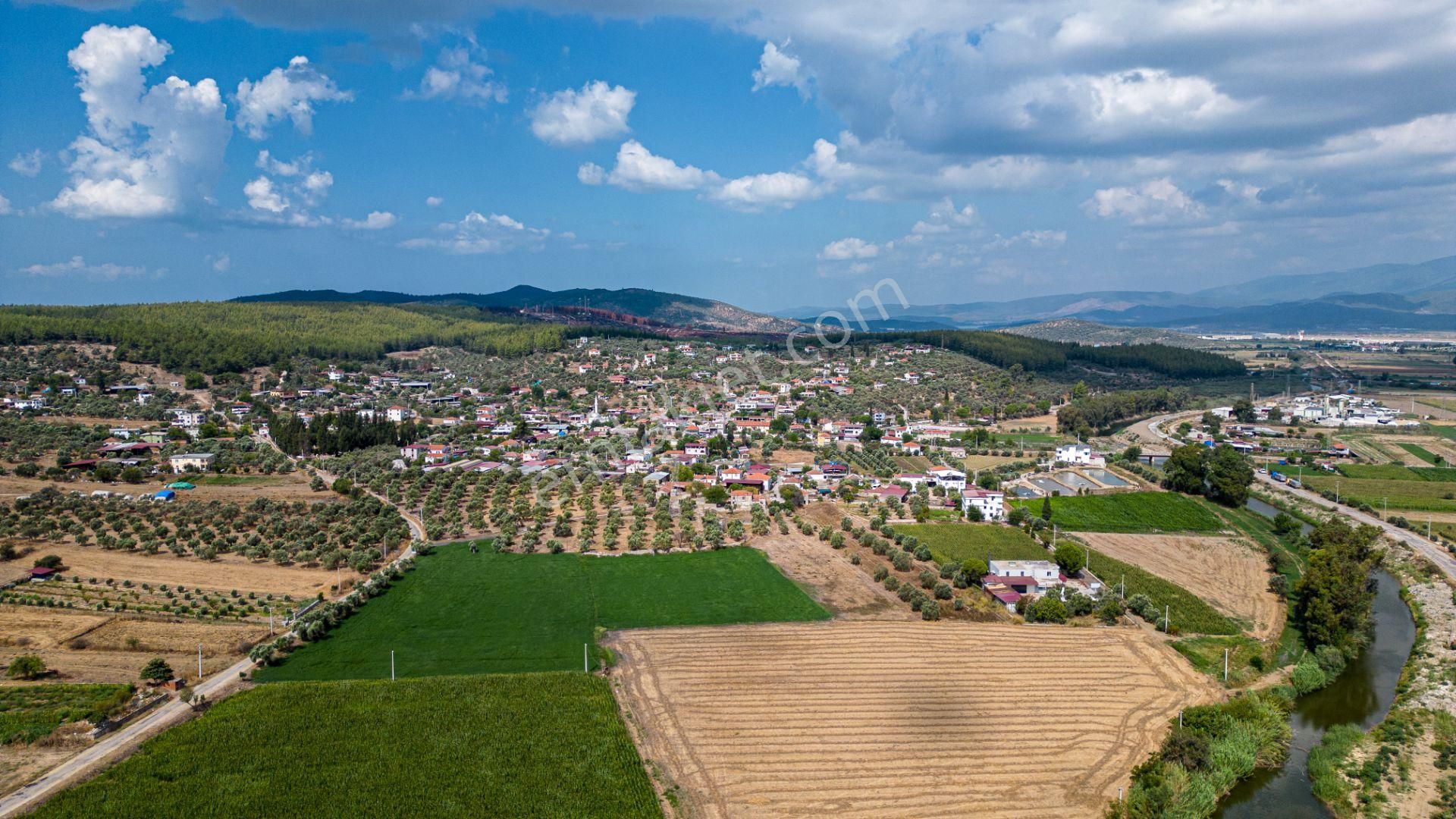 Milas Yaka Köyü Yola Sıfır Satılık Tarla - Görsel 17