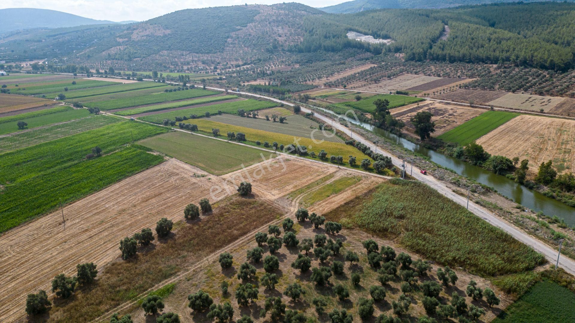 Milas Yaka Köyü Yola Sıfır Satılık Tarla - Görsel 8