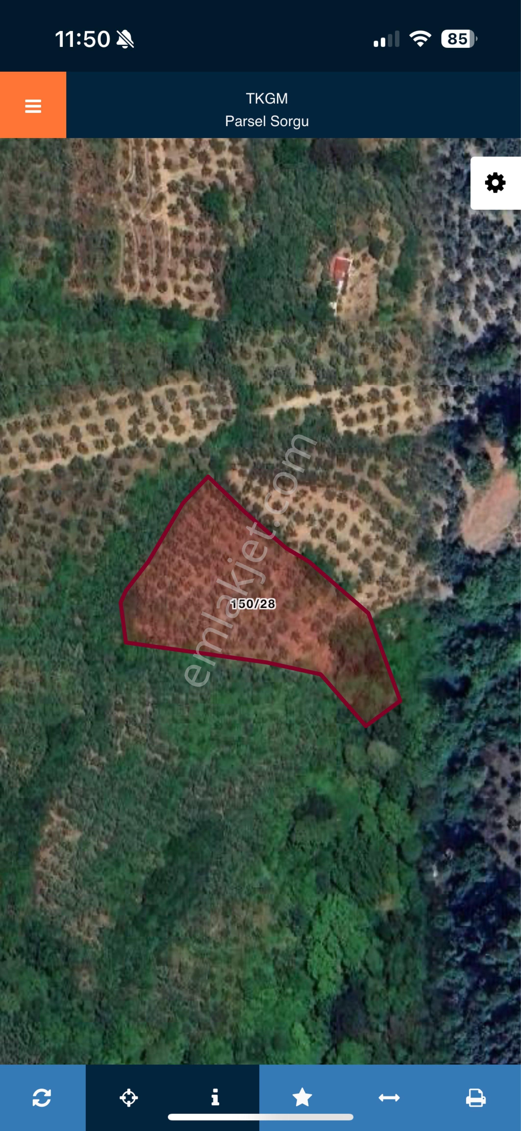 Beka Gayrimenkul'den Karsak Köyünde 3769 M2 Yatırımlık Zeytinlik