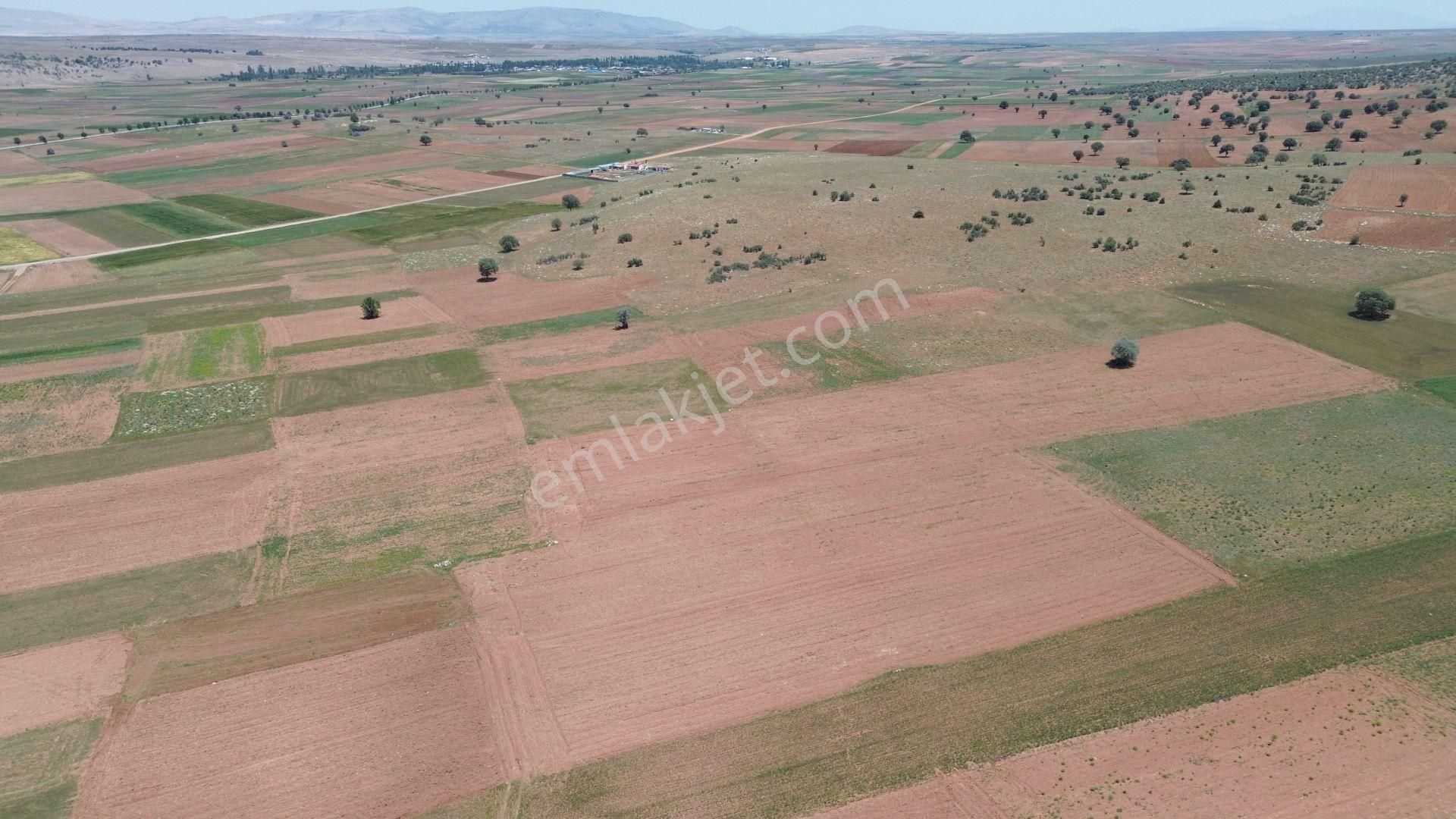 Konya / Akören / Hacılar Mahallesinde 2.276 M² Müstakil Tapulu Tarla - Görsel 7