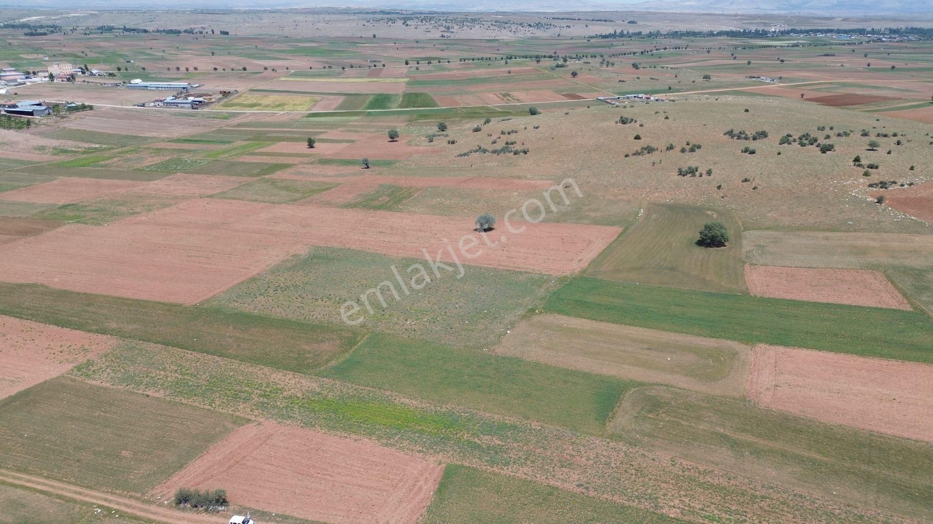 Konya / Akören / Hacılar Mahallesinde 2.276 M² Müstakil Tapulu Tarla - Görsel 6