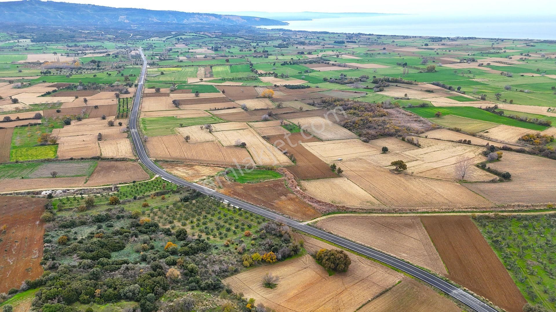 Çanakkale Merkez Büyükanafartada Asfalt Cephe 4.225 M² Tarla - Görsel 11