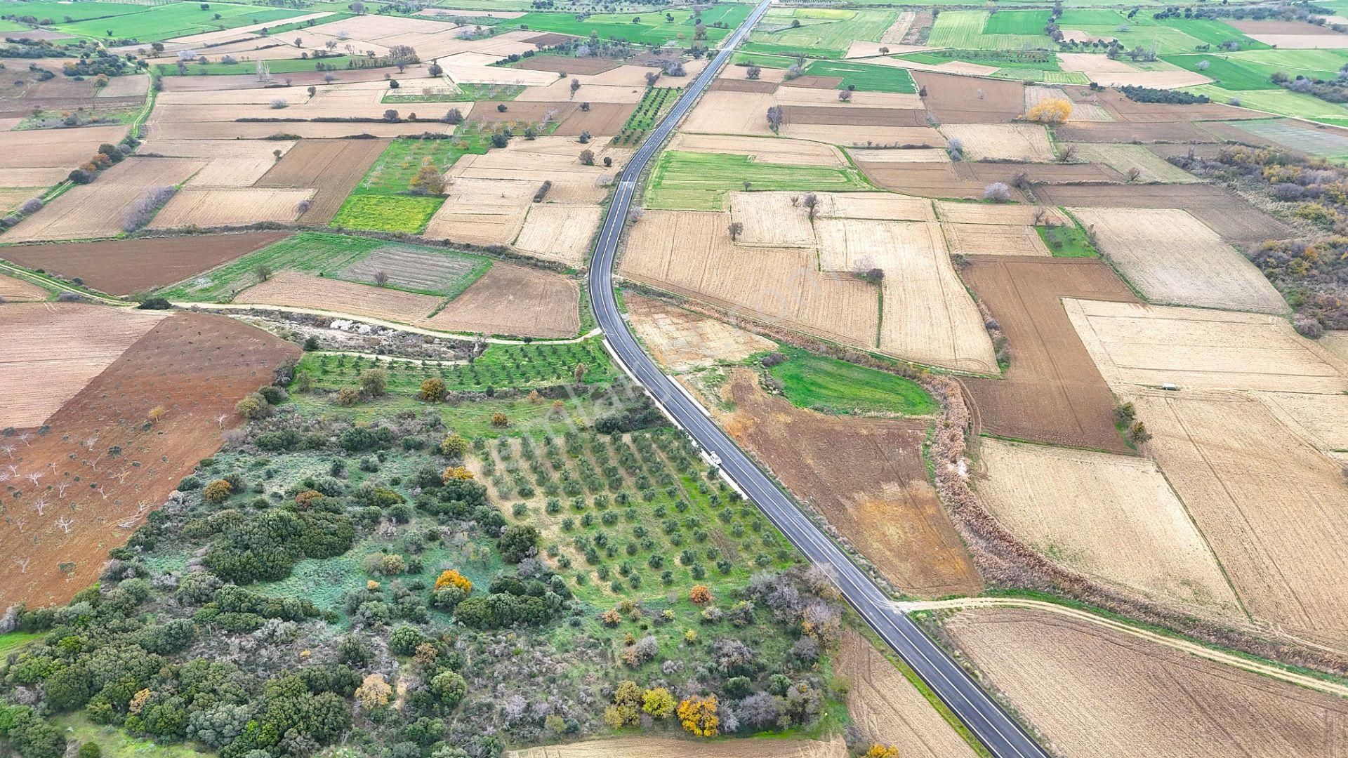 Çanakkale Merkez Büyükanafartada Asfalt Cephe 4.225 M² Tarla - Görsel 13