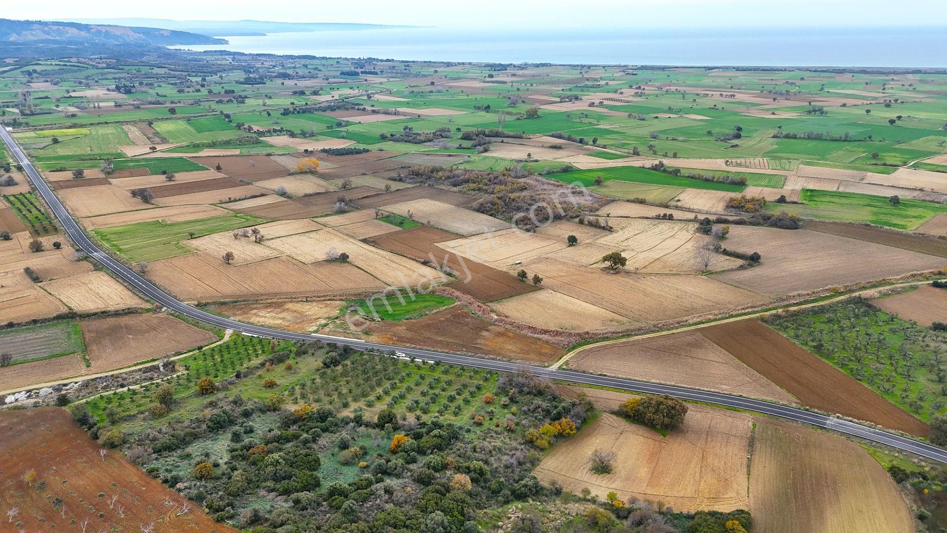 Çanakkale Merkez Büyükanafartada Asfalt Cephe 4.225 M² Tarla - Görsel 10