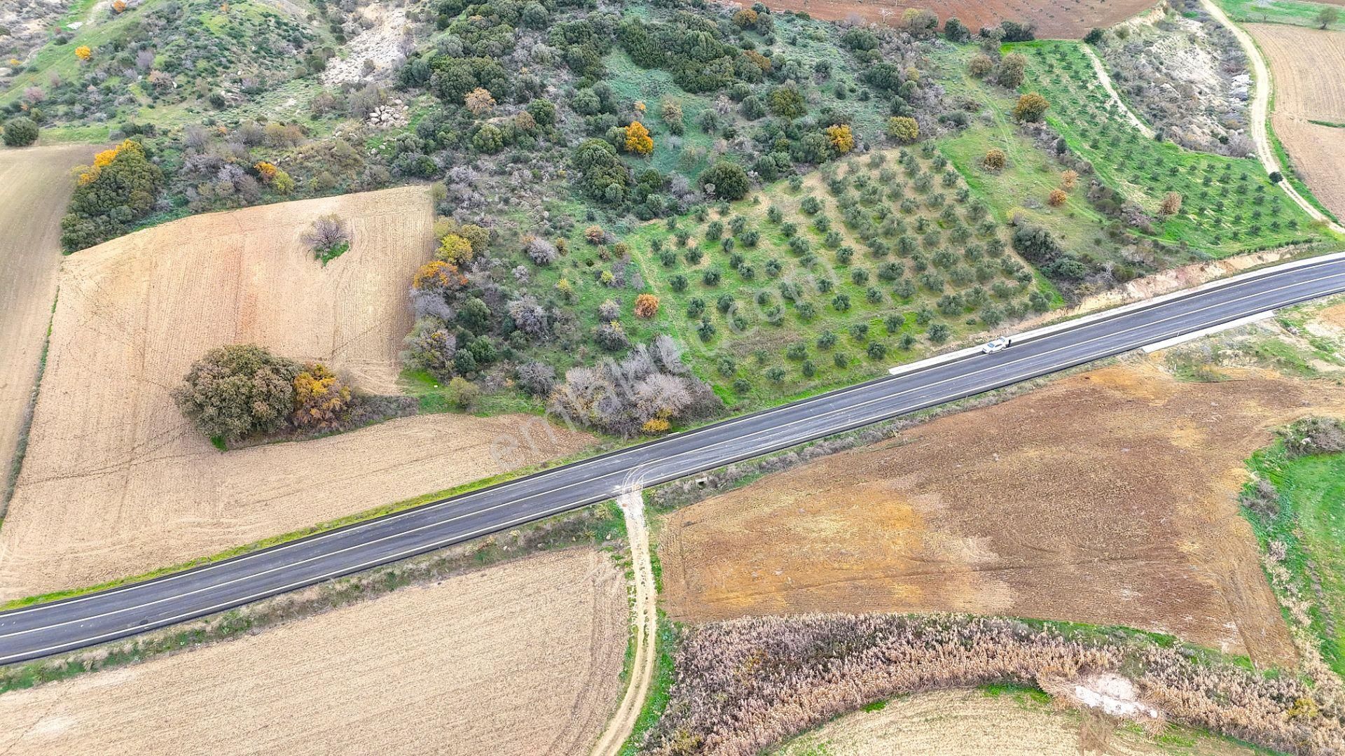 Çanakkale Merkez Büyükanafartada Asfalt Cephe 4.225 M² Tarla - Görsel 19