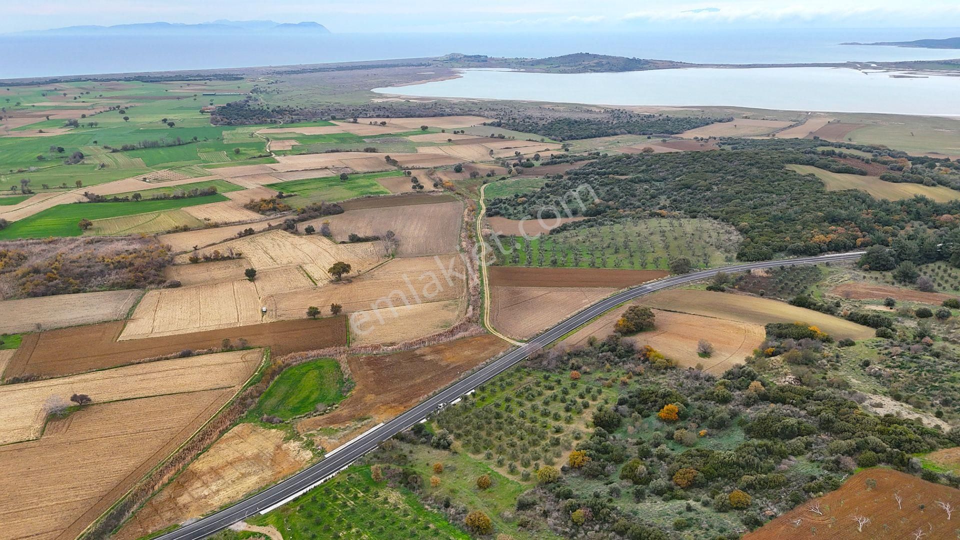 Çanakkale Merkez Büyükanafartada Asfalt Cephe 4.225 M² Tarla - Görsel 4