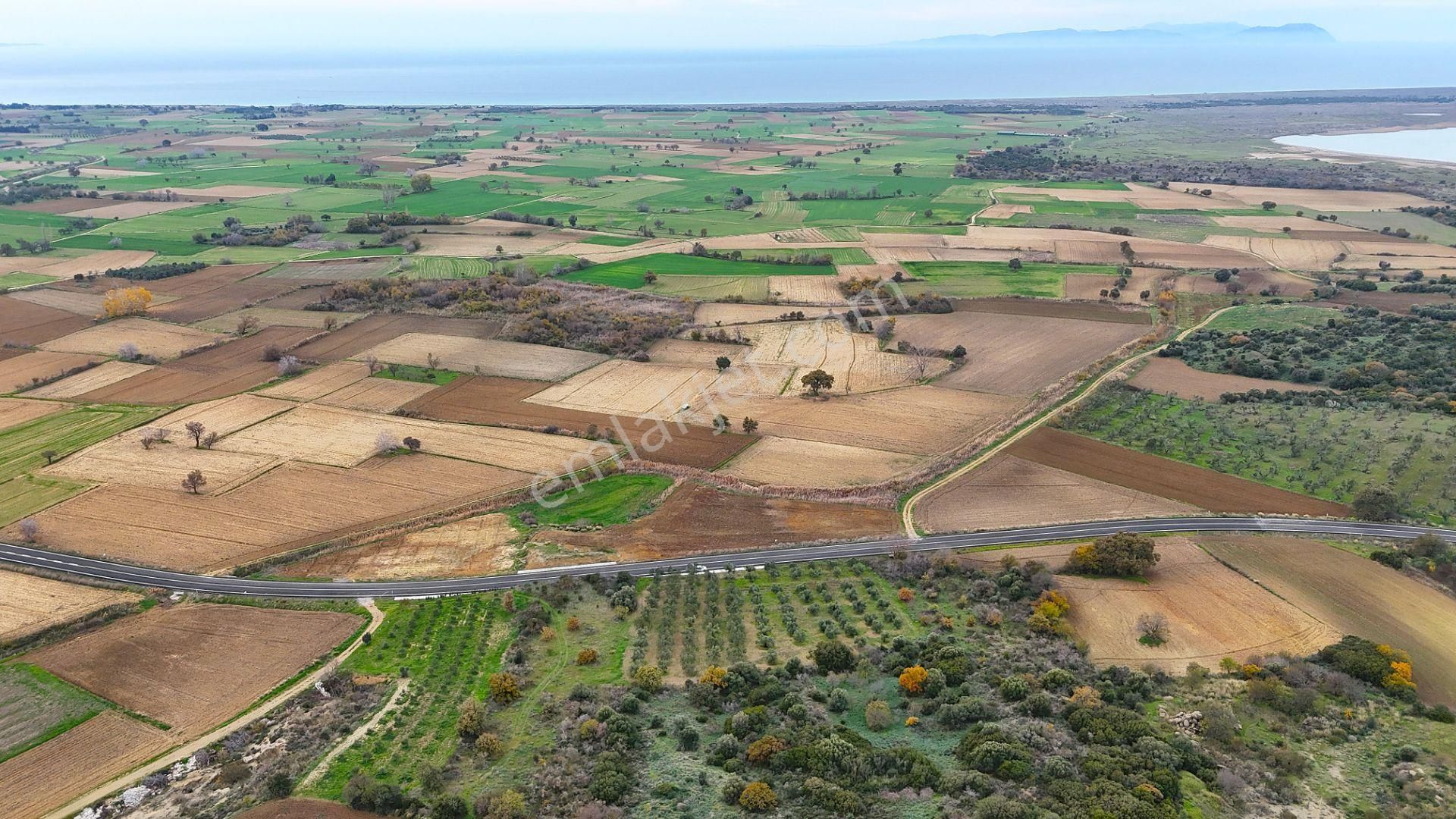 Çanakkale Merkez Büyükanafartada Asfalt Cephe 4.225 M² Tarla - Görsel 7