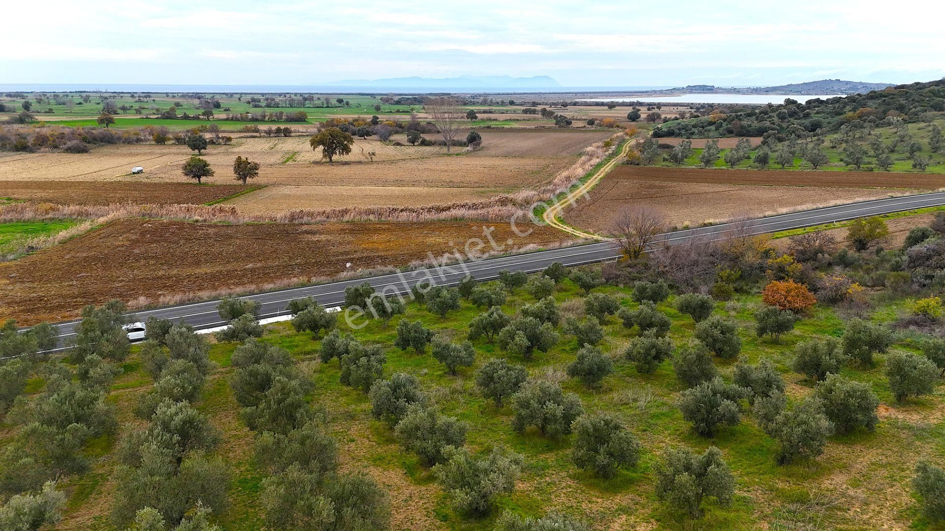 Çanakkale Merkez Büyükanafartada Asfalt Cephe 4.225 M² Tarla - Görsel 27