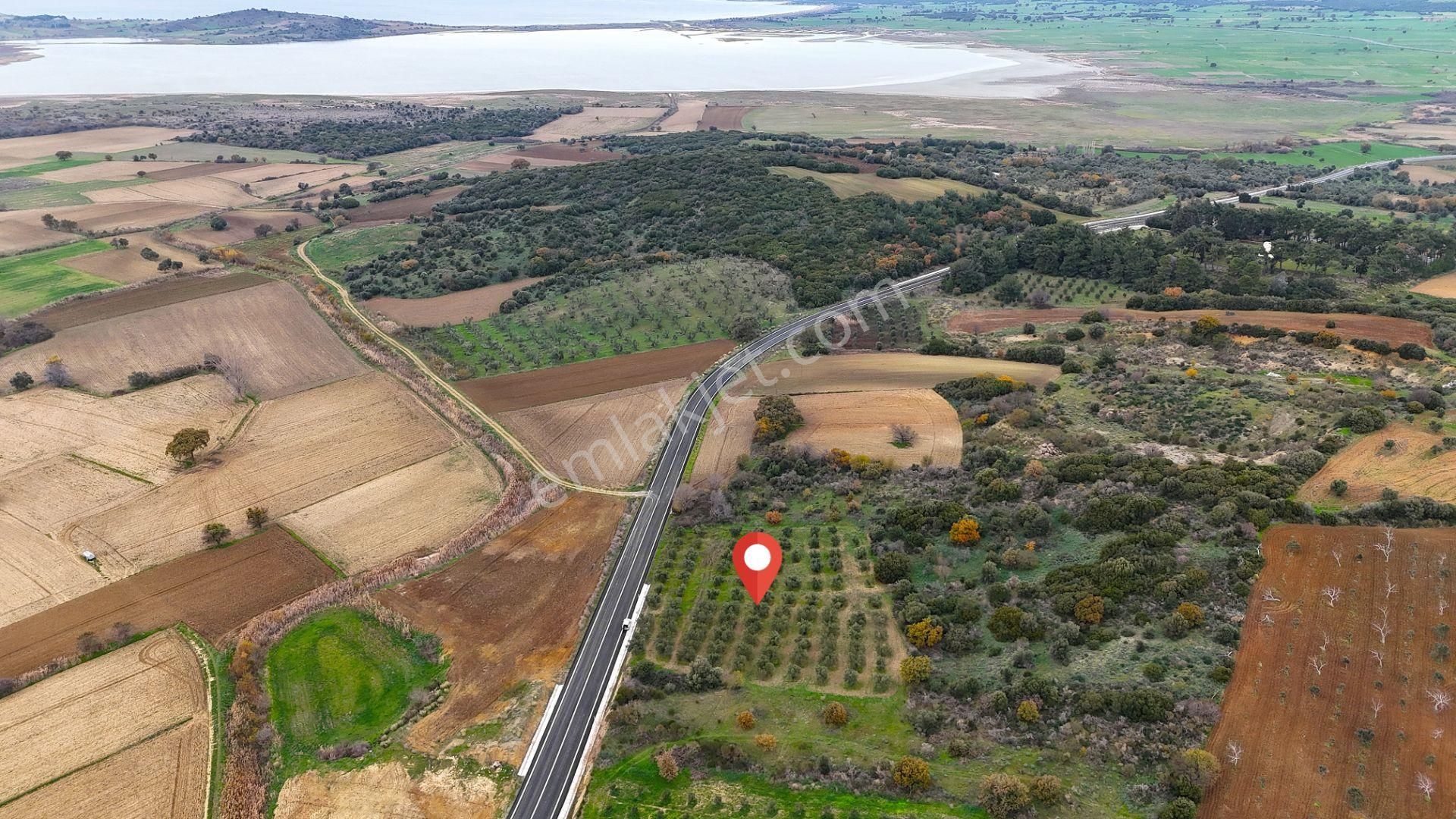 Çanakkale Merkez Büyükanafartada Asfalt Cephe 4.225 M² Tarla