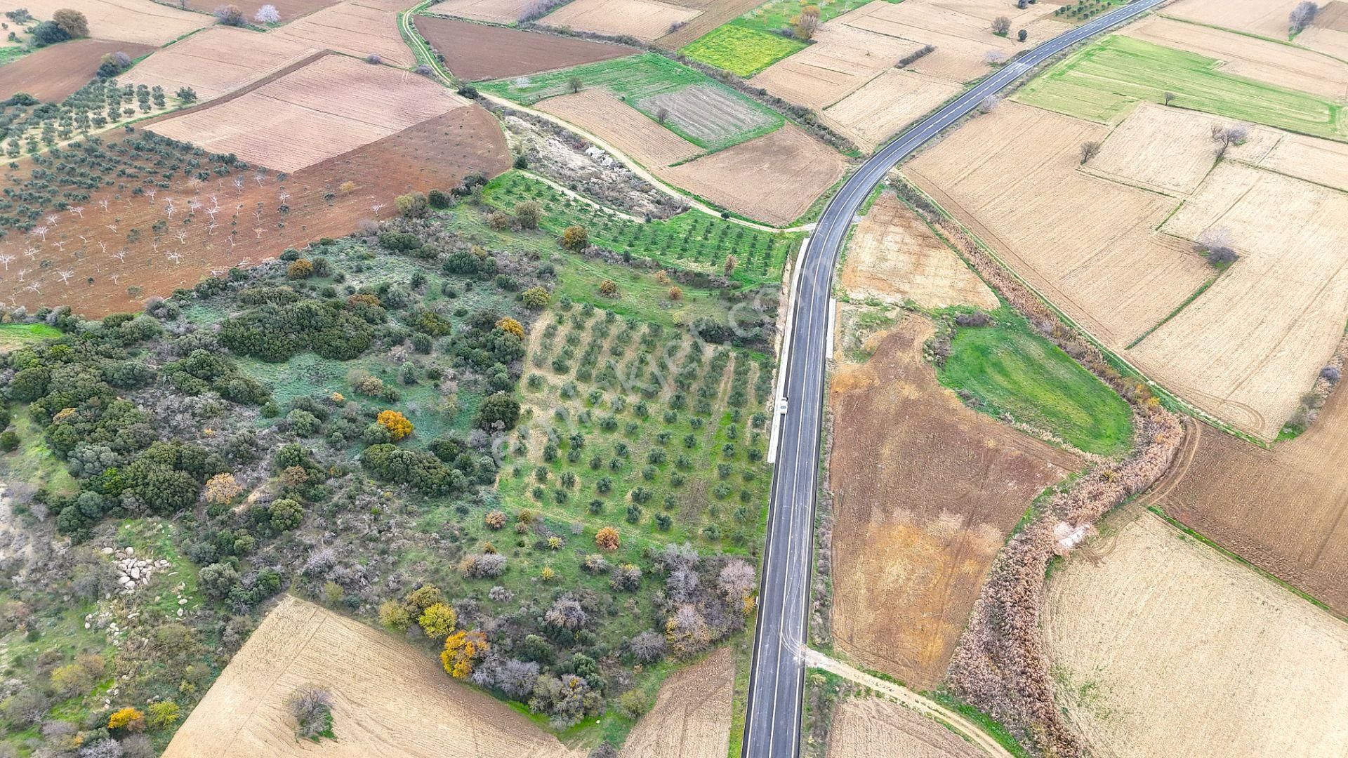 Çanakkale Merkez Büyükanafartada Asfalt Cephe 4.225 M² Tarla - Görsel 29