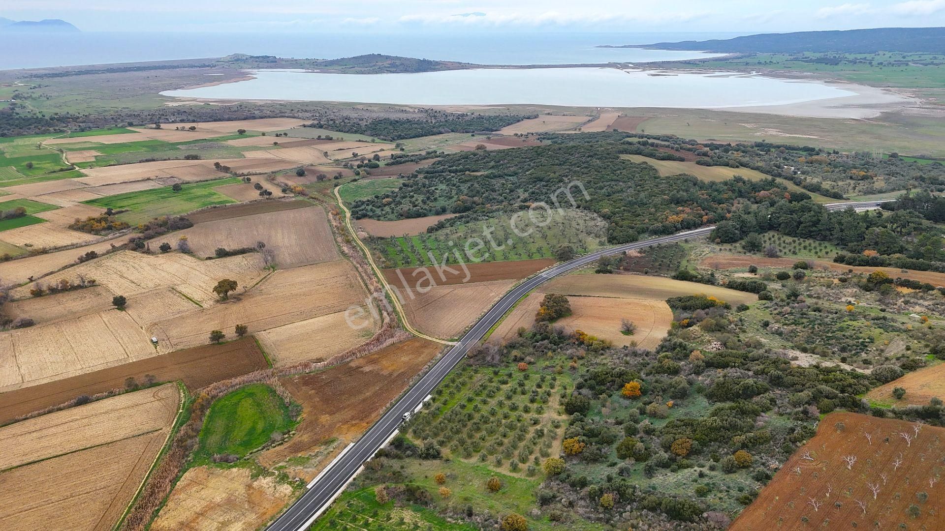 Çanakkale Merkez Büyükanafartada Asfalt Cephe 4.225 M² Tarla - Görsel 3