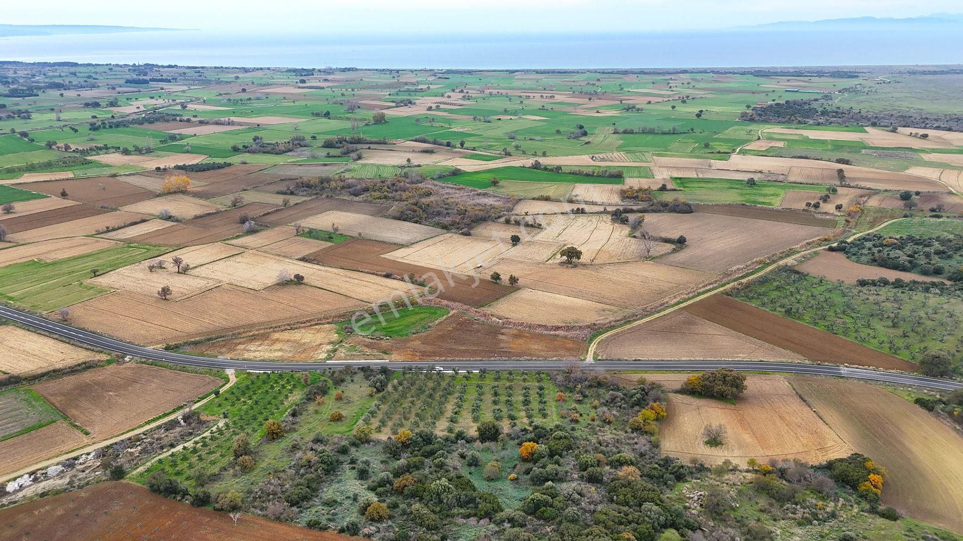 Çanakkale Merkez Büyükanafartada Asfalt Cephe 4.225 M² Tarla - Görsel 8