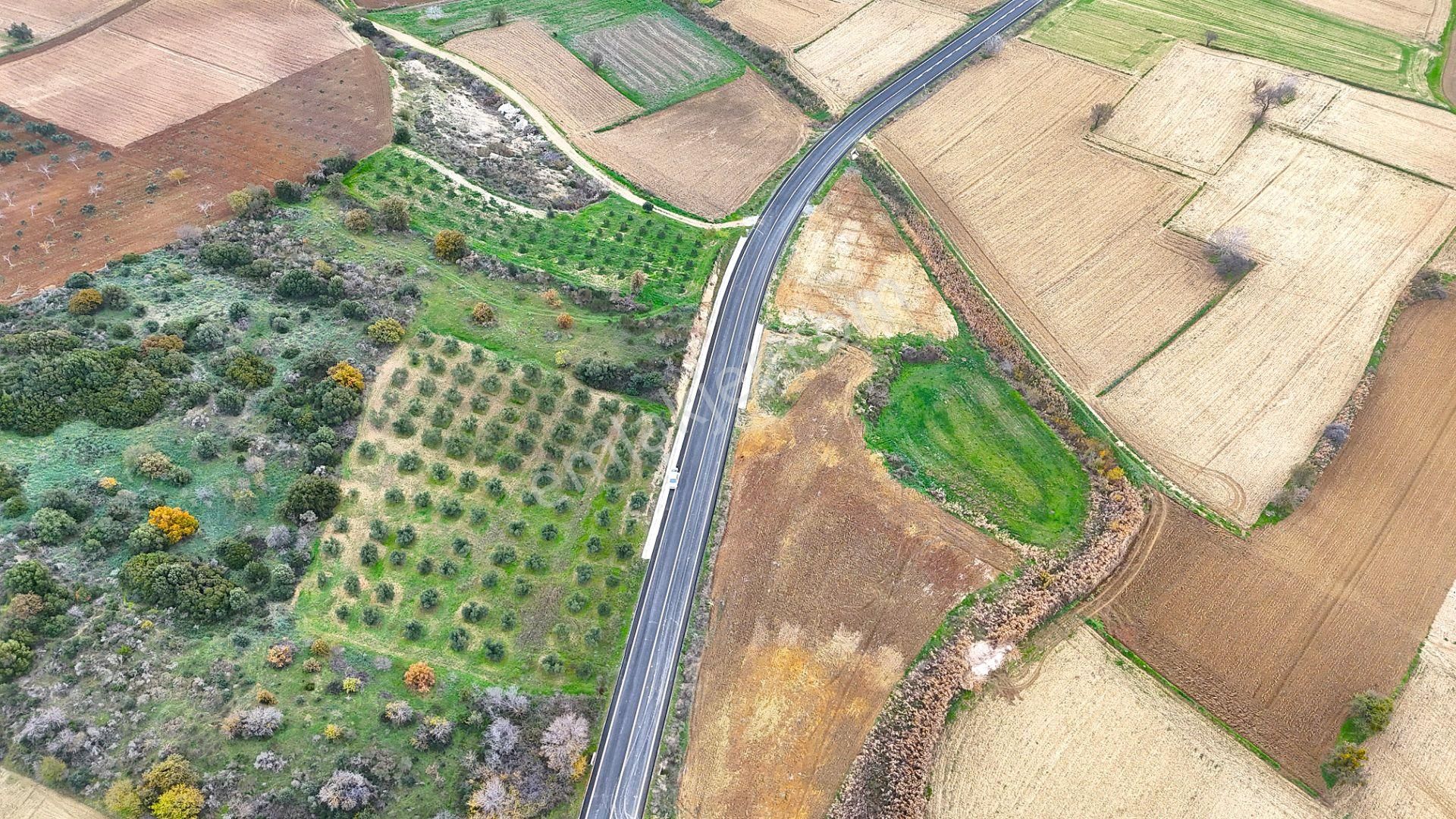 Çanakkale Merkez Büyükanafartada Asfalt Cephe 4.225 M² Tarla - Görsel 16