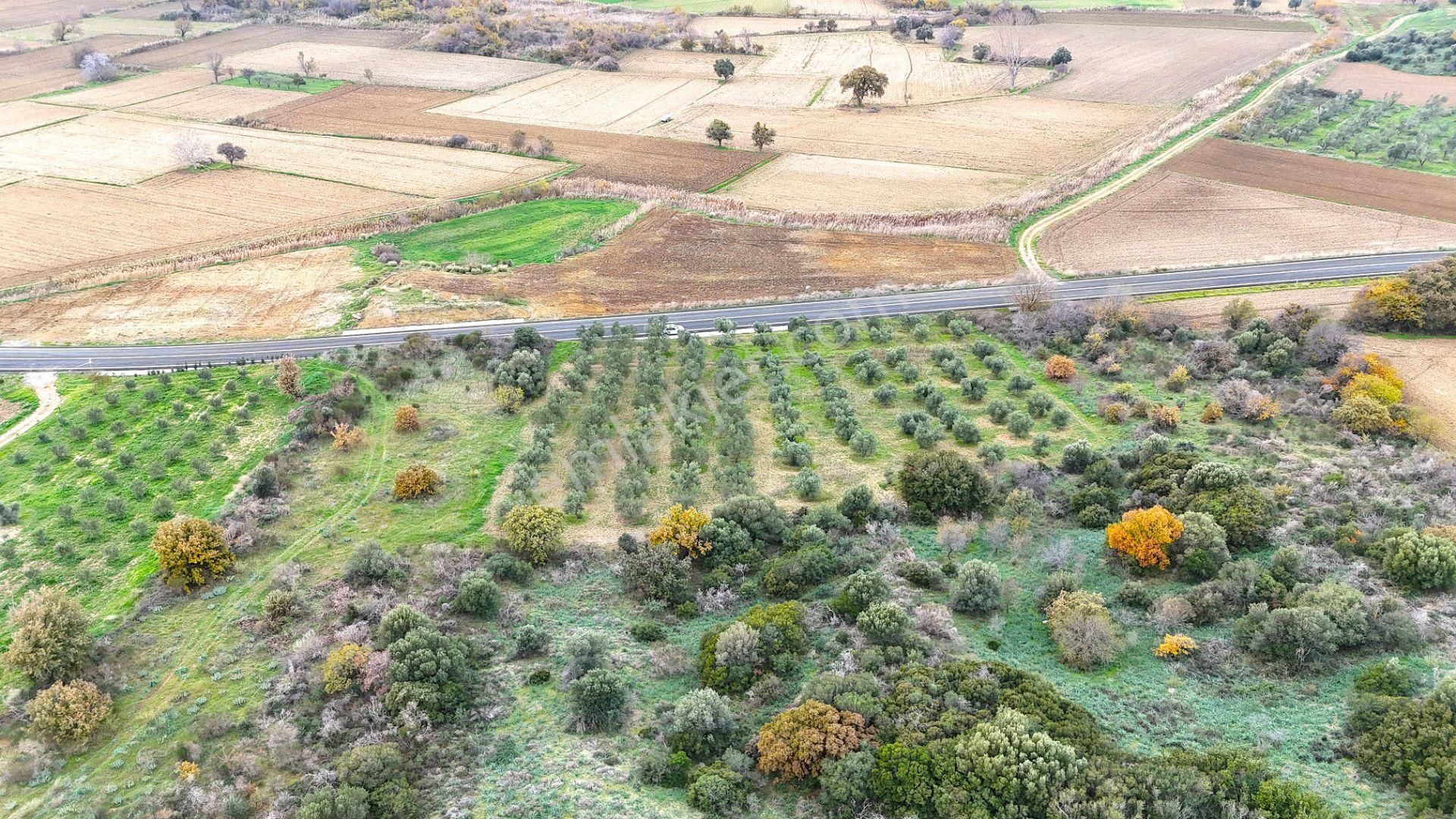 Çanakkale Merkez Büyükanafartada Asfalt Cephe 4.225 M² Tarla - Görsel 24