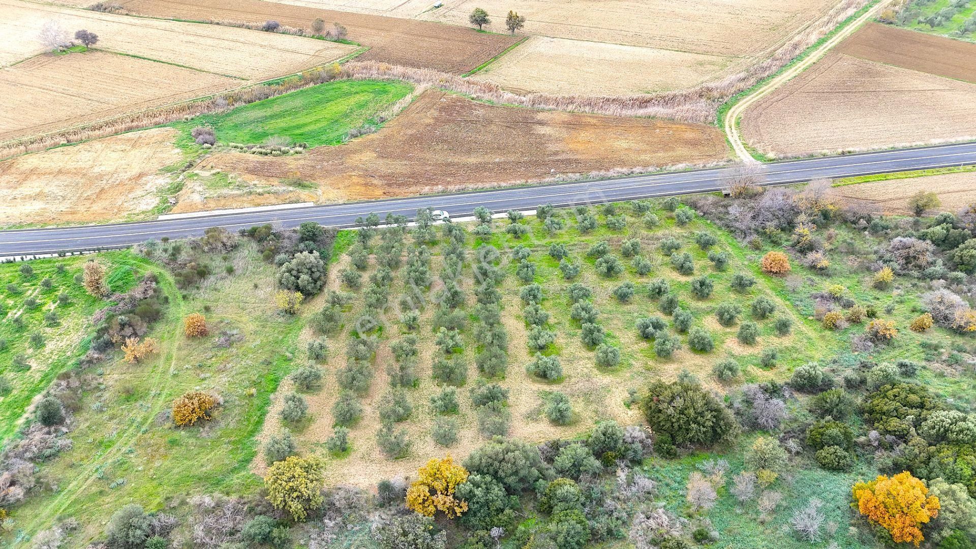 Çanakkale Merkez Büyükanafartada Asfalt Cephe 4.225 M² Tarla - Görsel 25