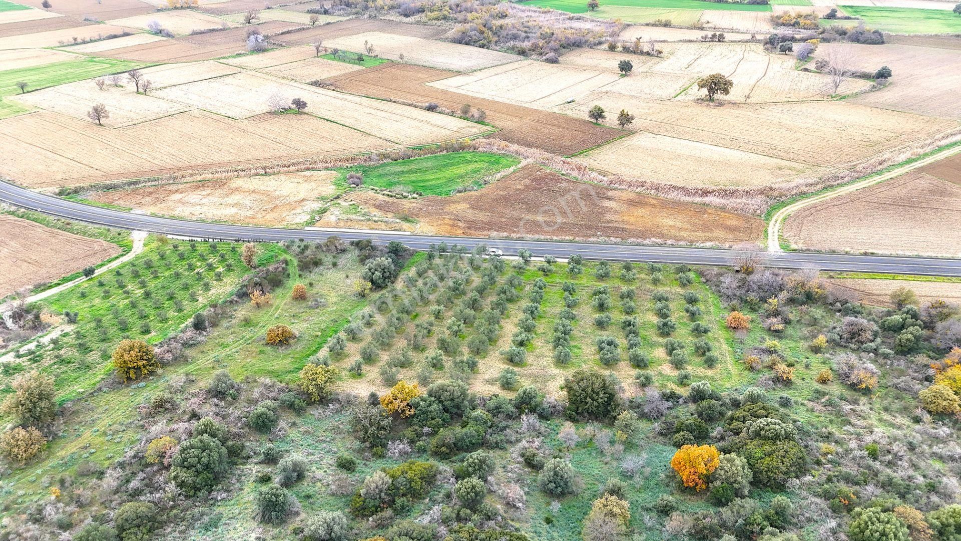 Çanakkale Merkez Büyükanafartada Asfalt Cephe 4.225 M² Tarla - Görsel 23