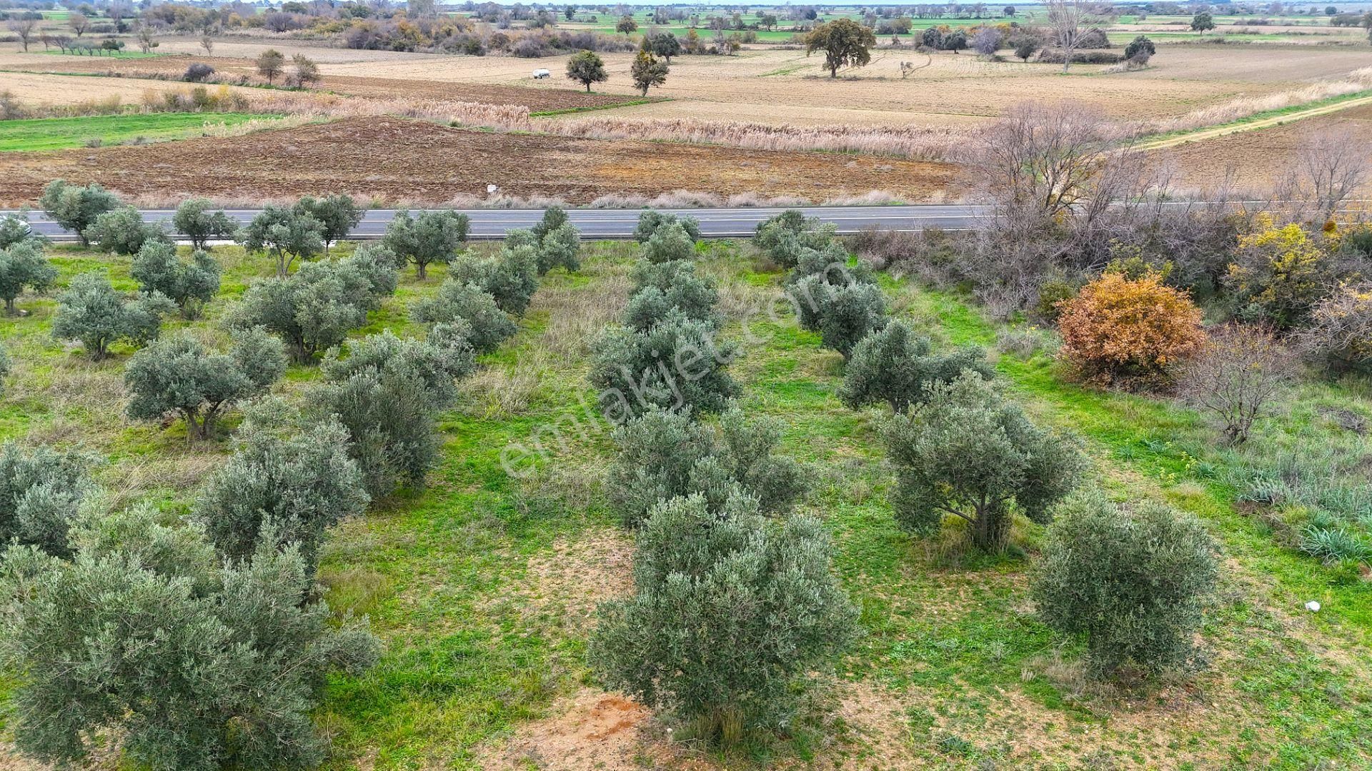 Çanakkale Merkez Büyükanafartada Asfalt Cephe 4.225 M² Tarla - Görsel 32