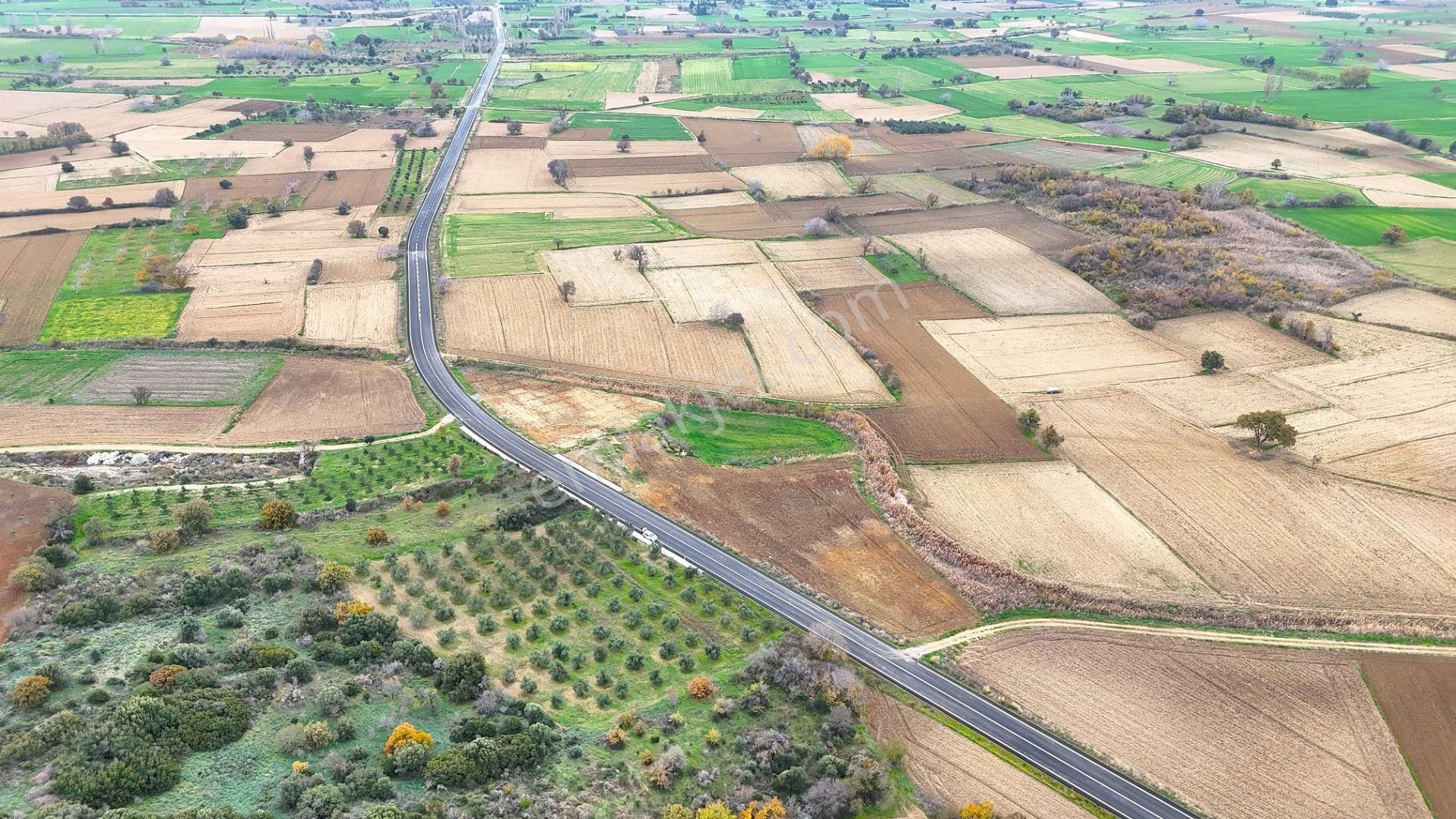 Çanakkale Merkez Büyükanafartada Asfalt Cephe 4.225 M² Tarla - Görsel 15