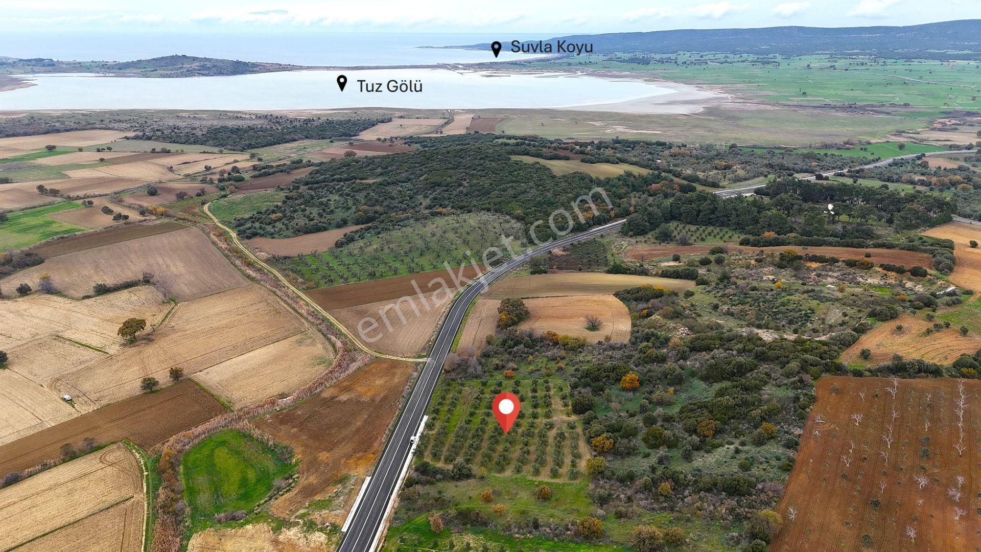 Çanakkale Merkez Büyükanafartada Asfalt Cephe 4.225 M² Tarla - Görsel 2