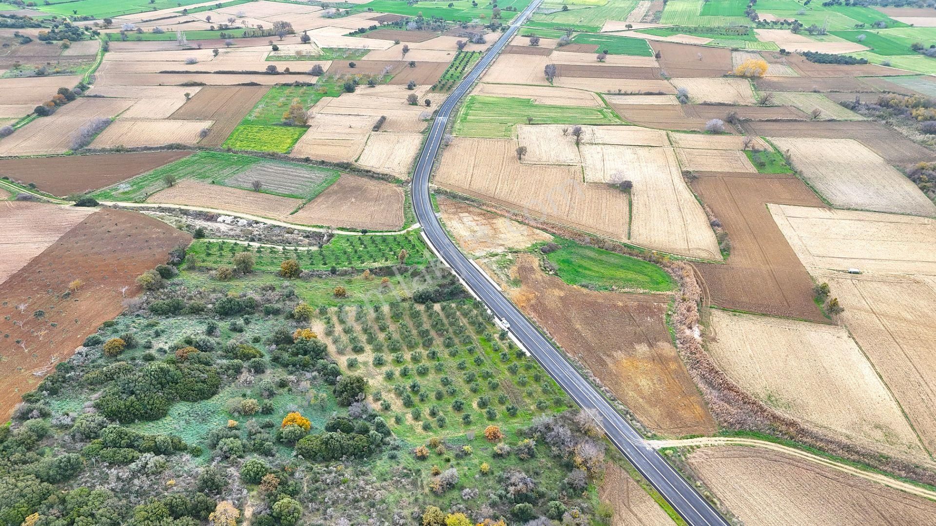 Çanakkale Merkez Büyükanafartada Asfalt Cephe 4.225 M² Tarla - Görsel 14