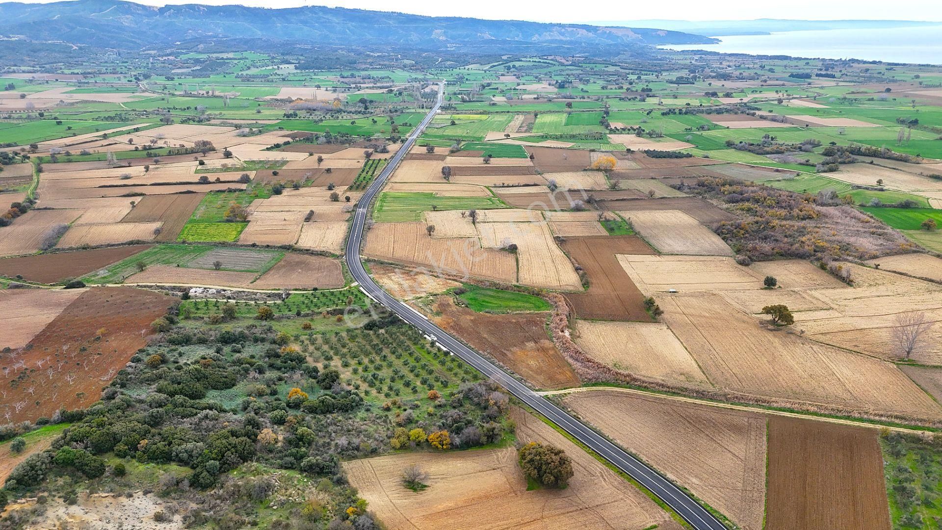 Çanakkale Merkez Büyükanafartada Asfalt Cephe 4.225 M² Tarla - Görsel 12