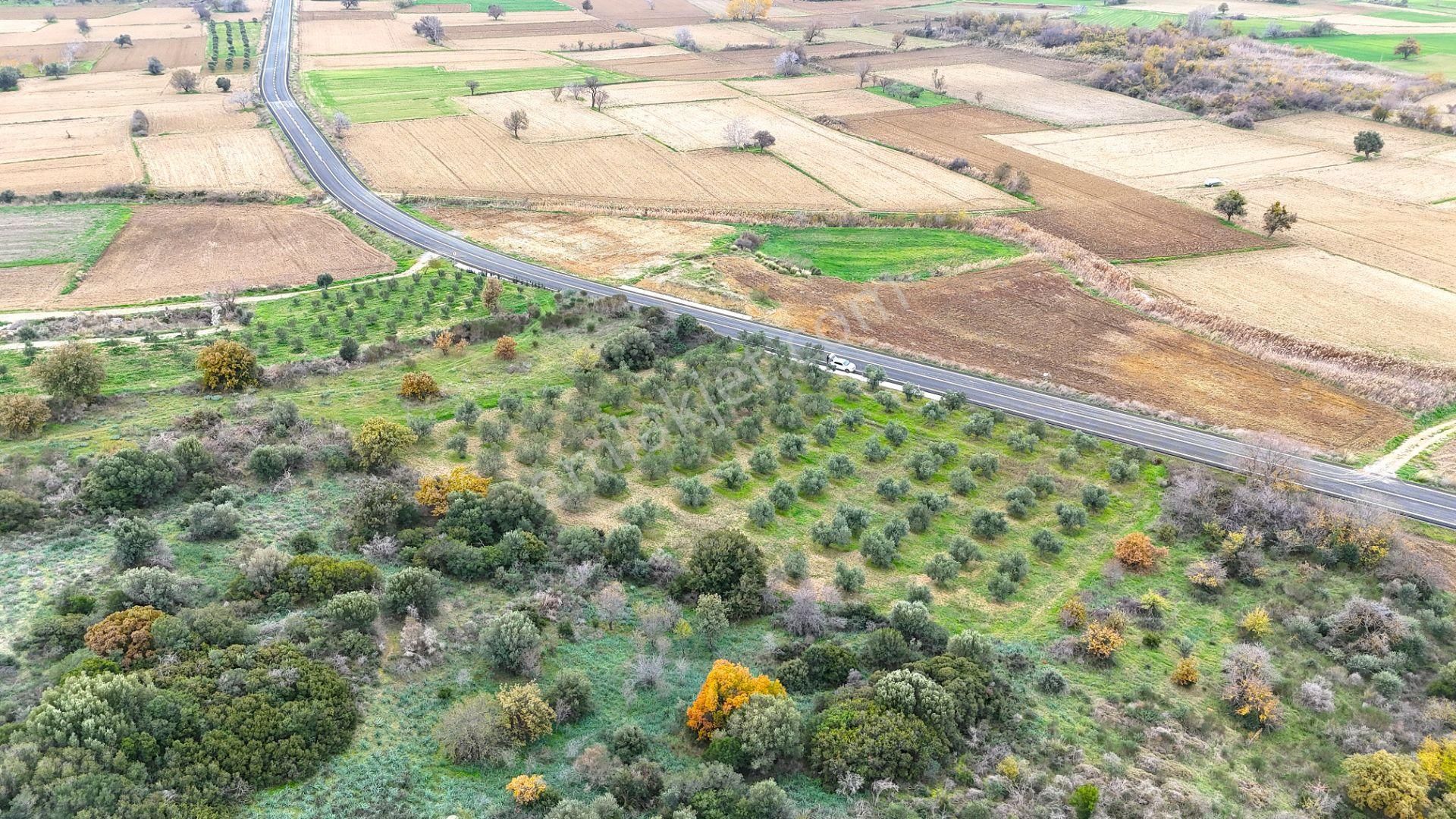 Çanakkale Merkez Büyükanafartada Asfalt Cephe 4.225 M² Tarla - Görsel 21