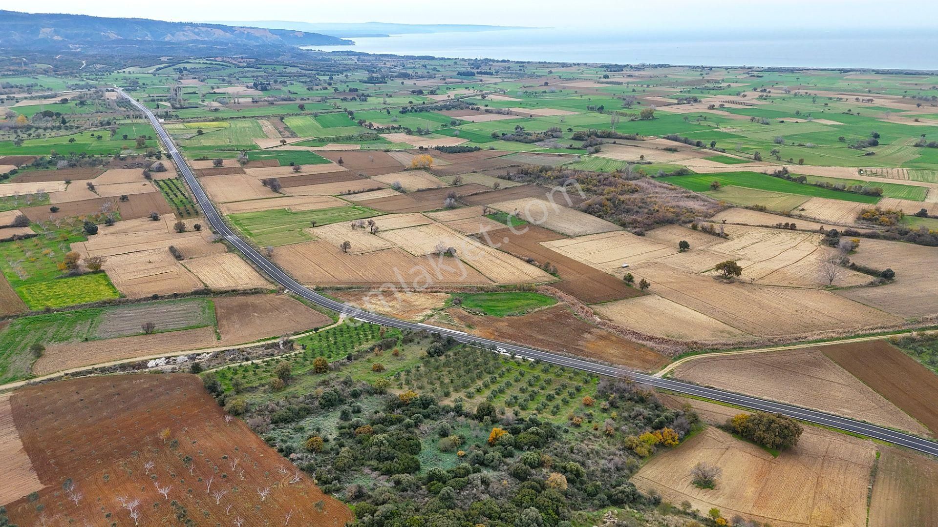 Çanakkale Merkez Büyükanafartada Asfalt Cephe 4.225 M² Tarla - Görsel 9