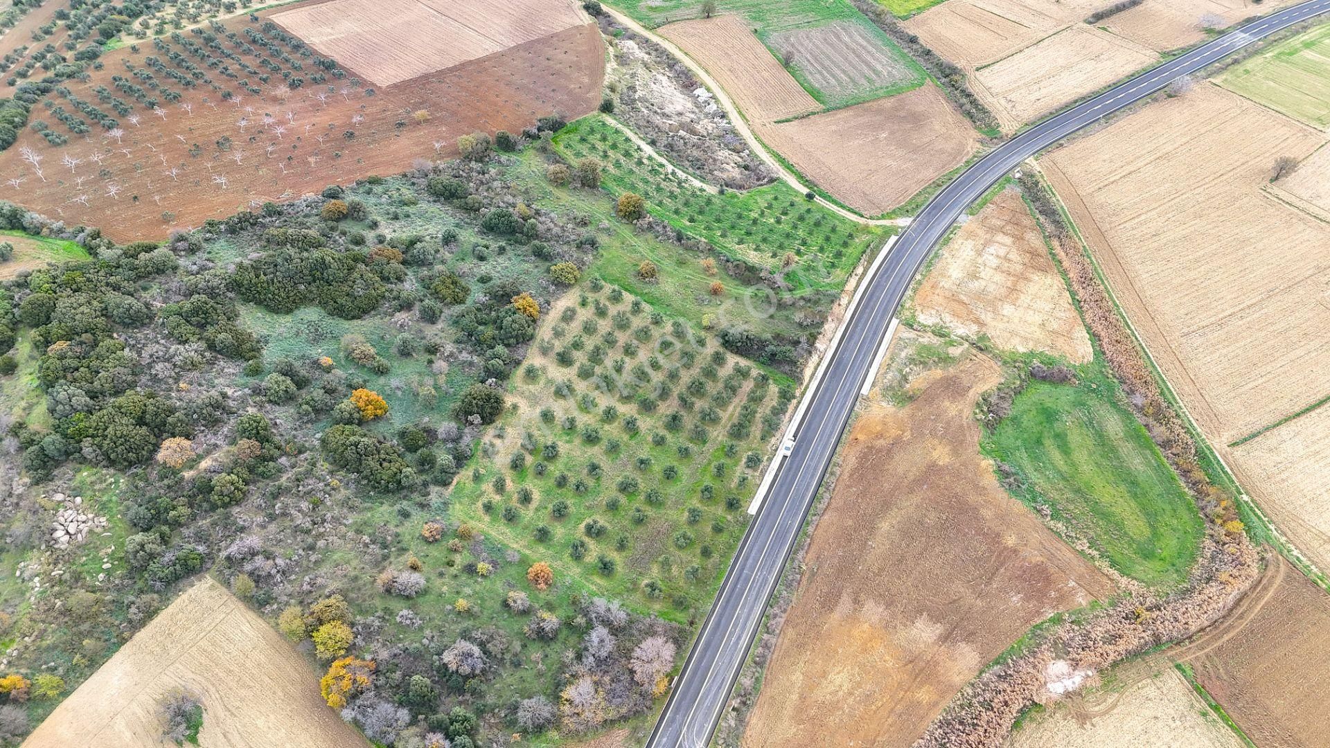 Çanakkale Merkez Büyükanafartada Asfalt Cephe 4.225 M² Tarla - Görsel 17