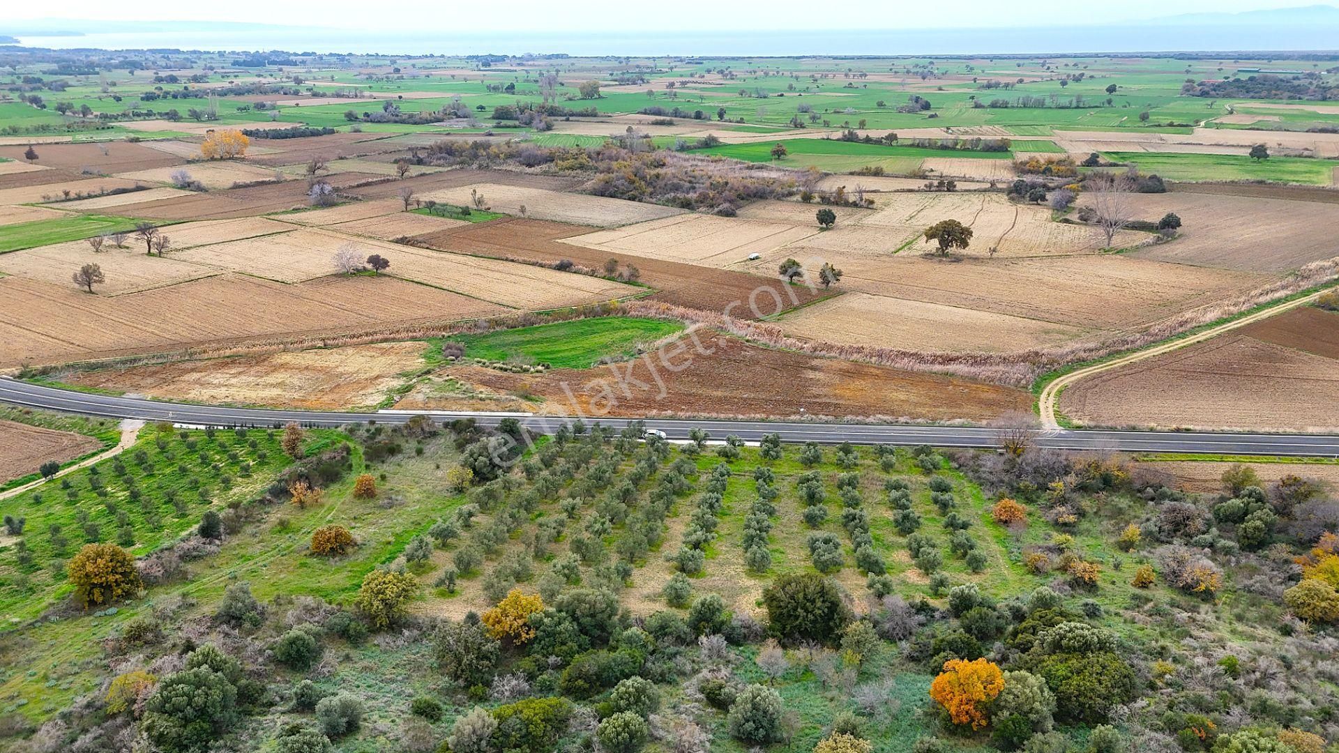 Çanakkale Merkez Büyükanafartada Asfalt Cephe 4.225 M² Tarla - Görsel 22