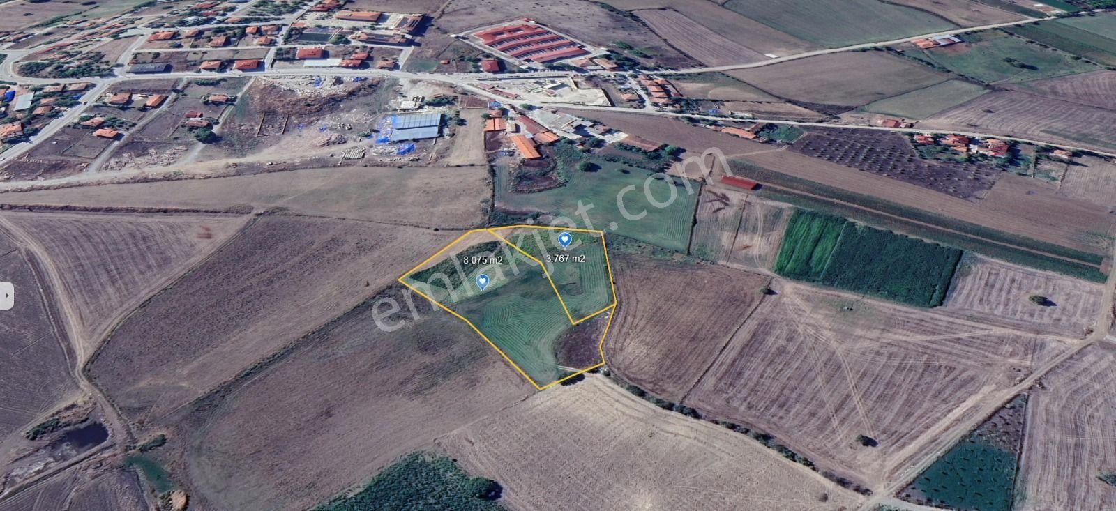 Vepaş'tan Kuruçay'da İmar Sınırında 11.396 M² Satılık Tarla - Görsel 4