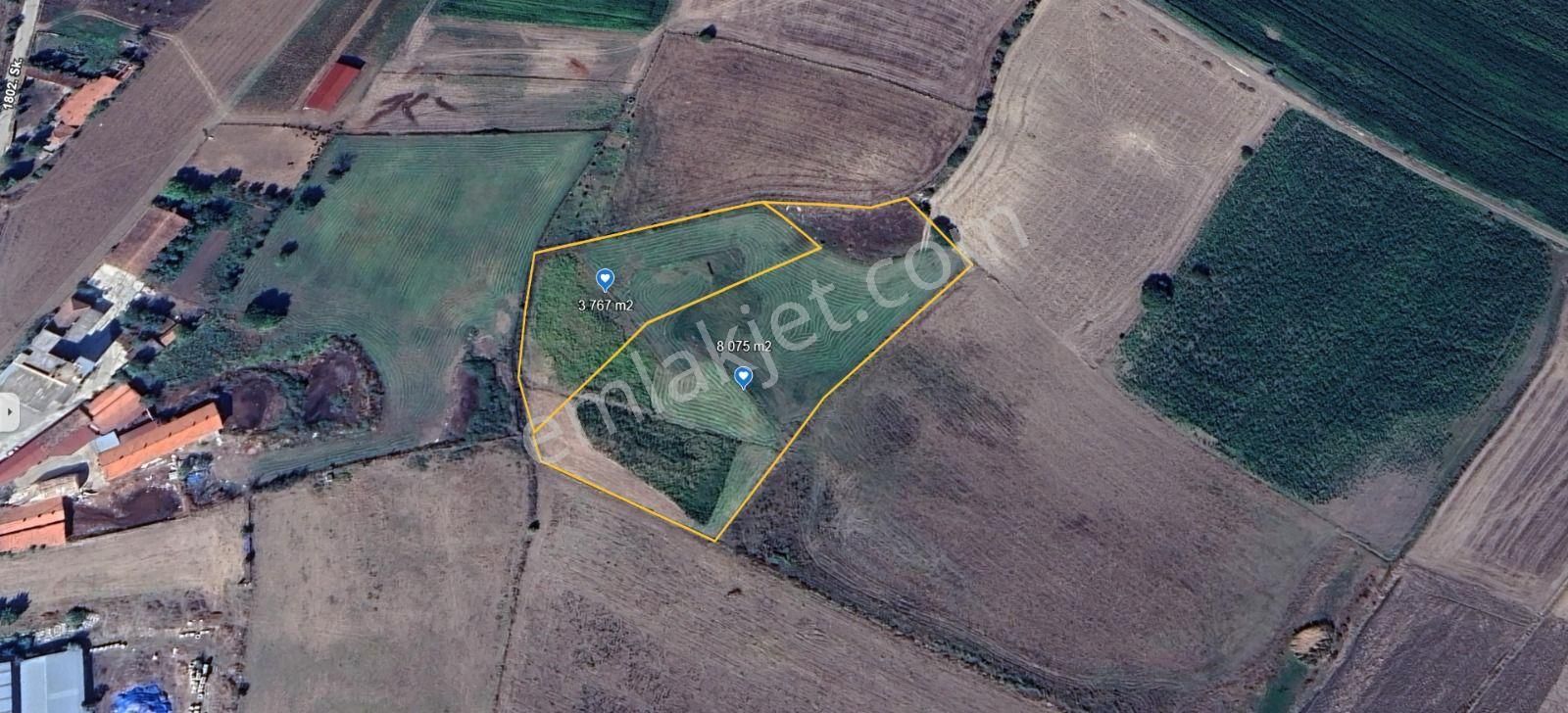 Vepaş'tan Kuruçay'da İmar Sınırında 11.396 M² Satılık Tarla - Görsel 5
