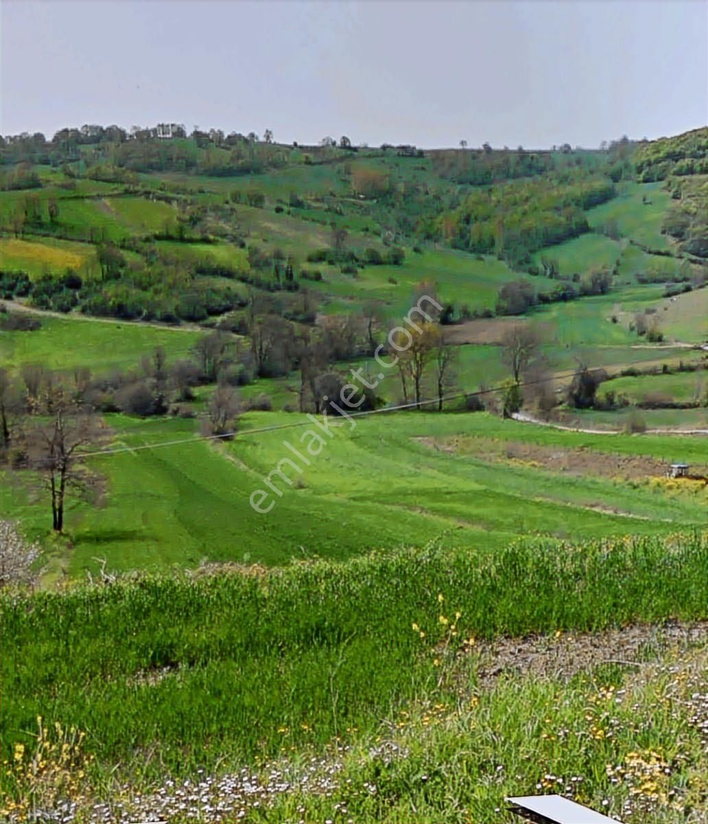 Tarcanlar'dan İzmit Kaynarca'da 2.338 M² Kupon Fırsat Tarla. - Görsel 3