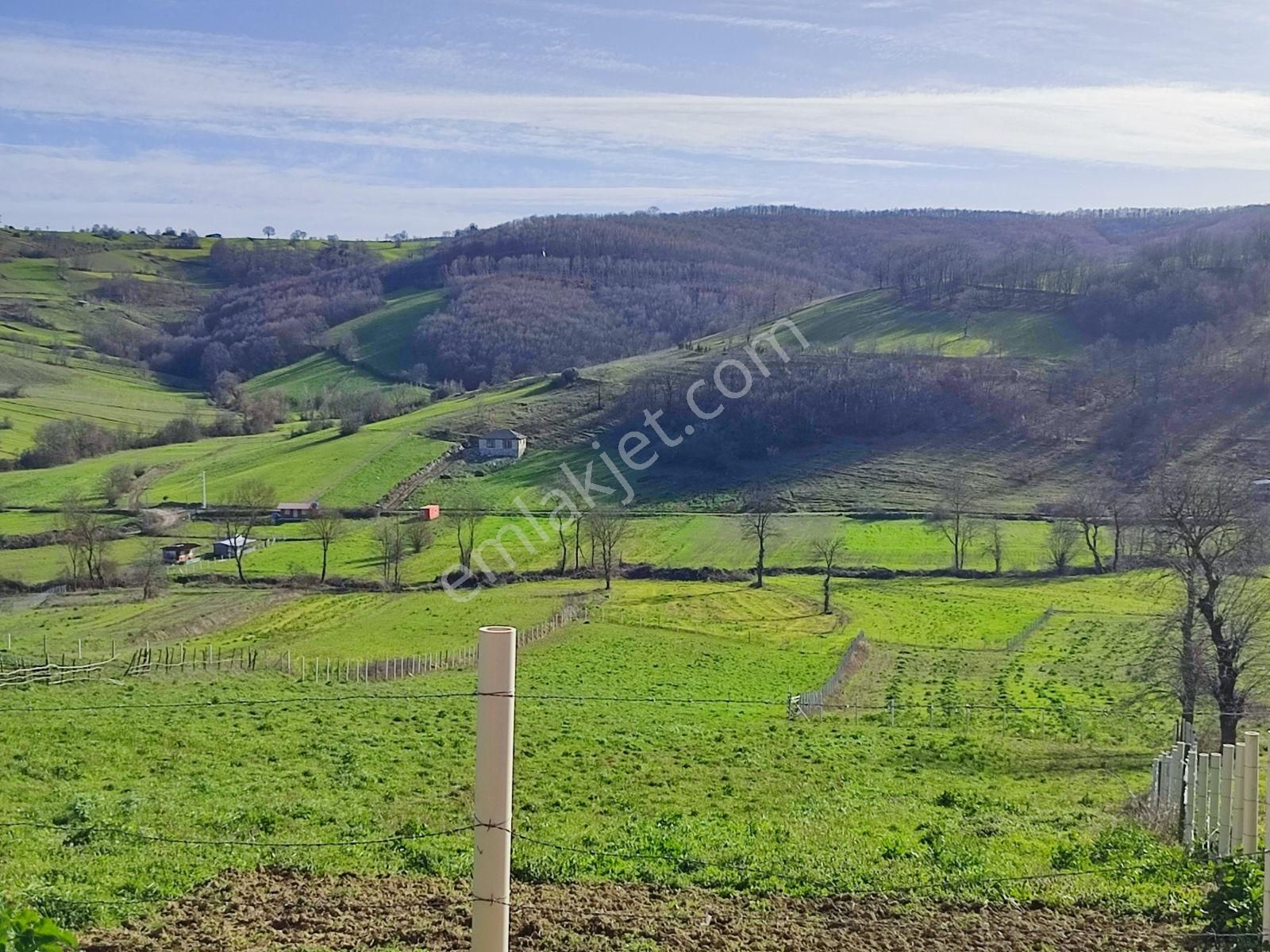 Tarcanlar'dan İzmit Kaynarca'da 2.338 M² Kupon Fırsat Tarla. - Görsel 6